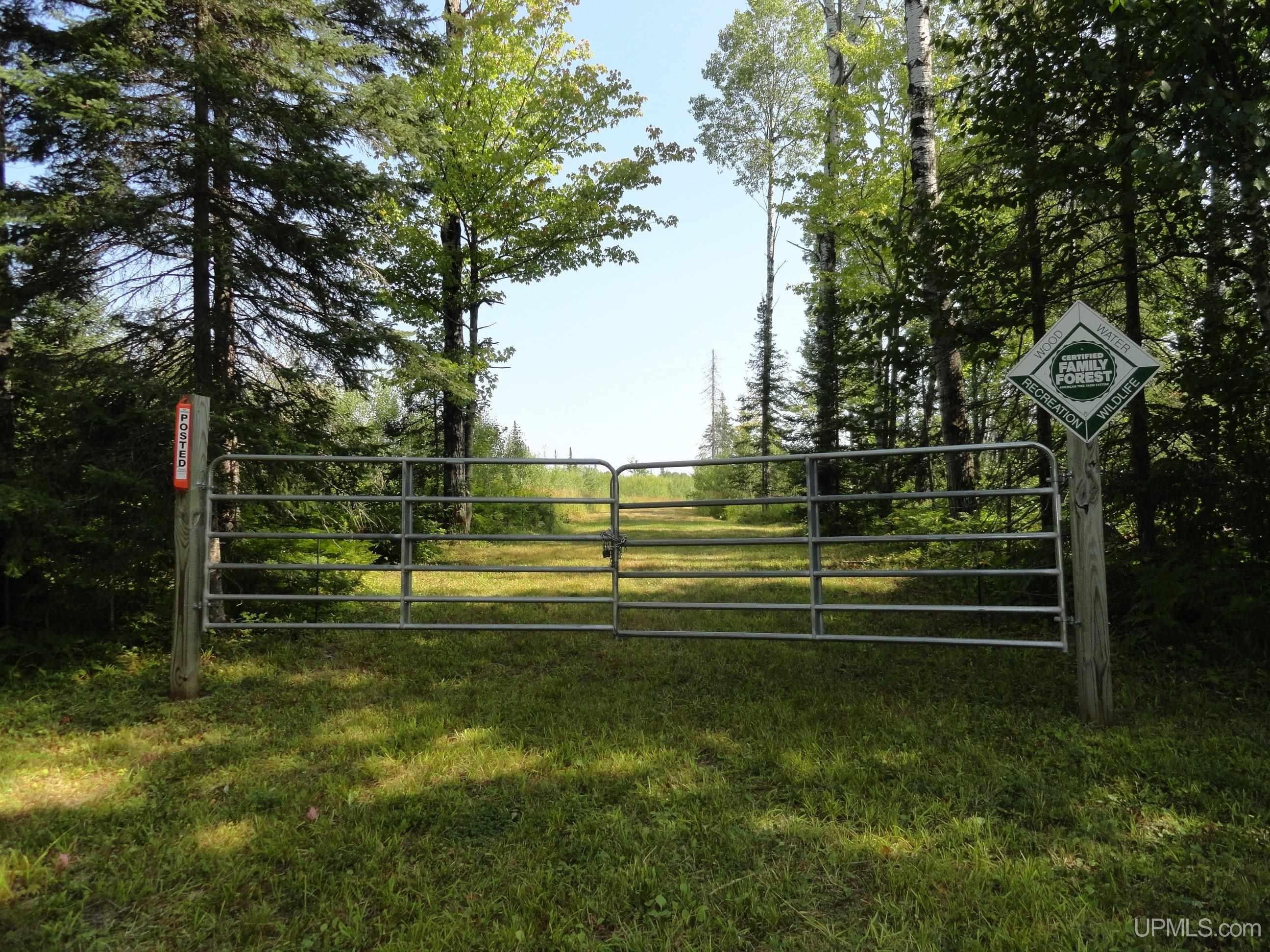 Bergland, Ontonagon County, MI Undeveloped Land for sale Property ID