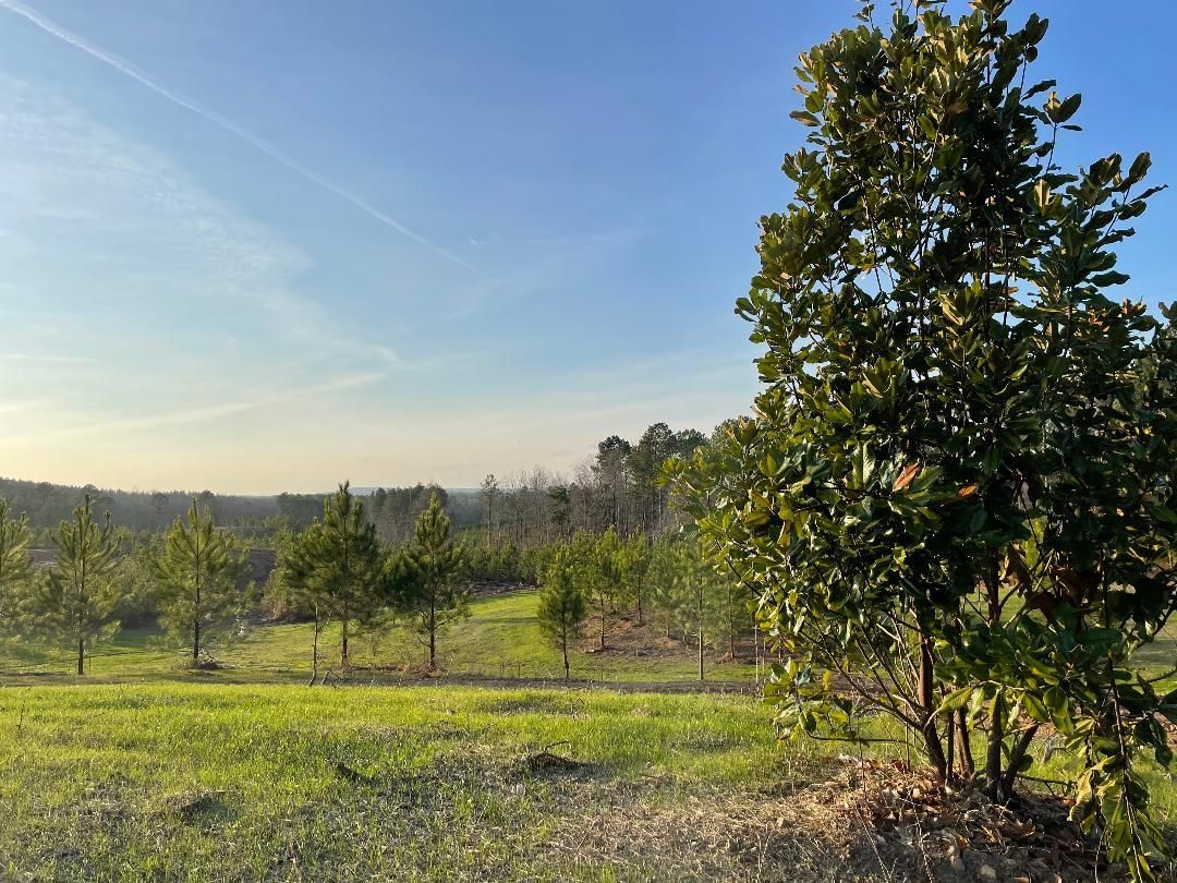 West Blocton, Bibb County, AL Horse Property for sale Property ID