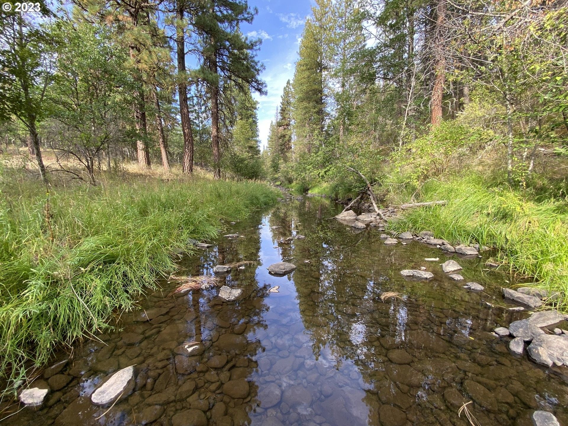 Goldendale, Klickitat County, WA Undeveloped Land for sale Property ID
