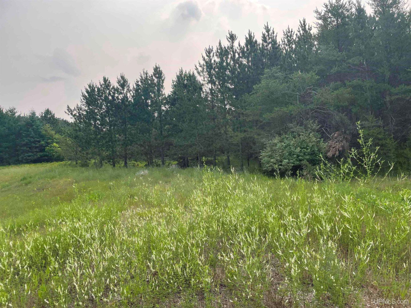 Pembine, County, WI Undeveloped Land for sale Property ID