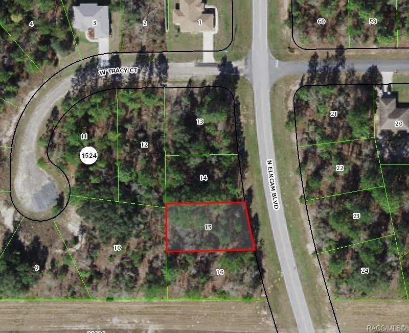 Citrus Springs, Citrus County, FL Undeveloped Land, Homesites for sale