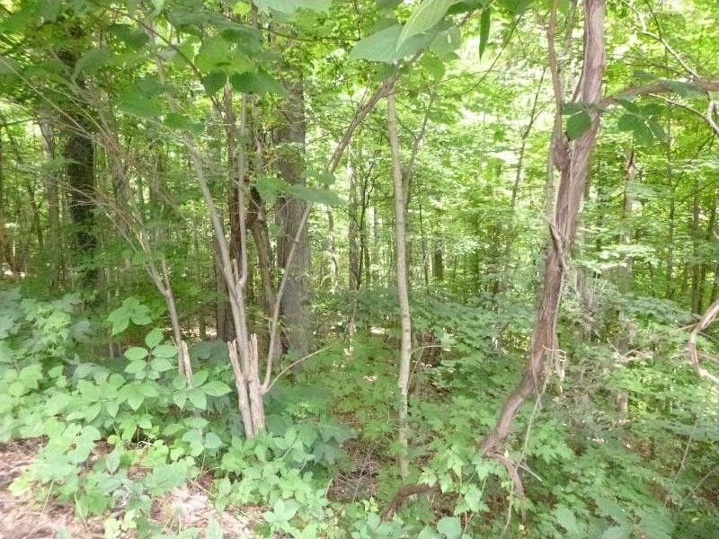 Kingsport, Sullivan County, TN Undeveloped Land, Homesites for sale