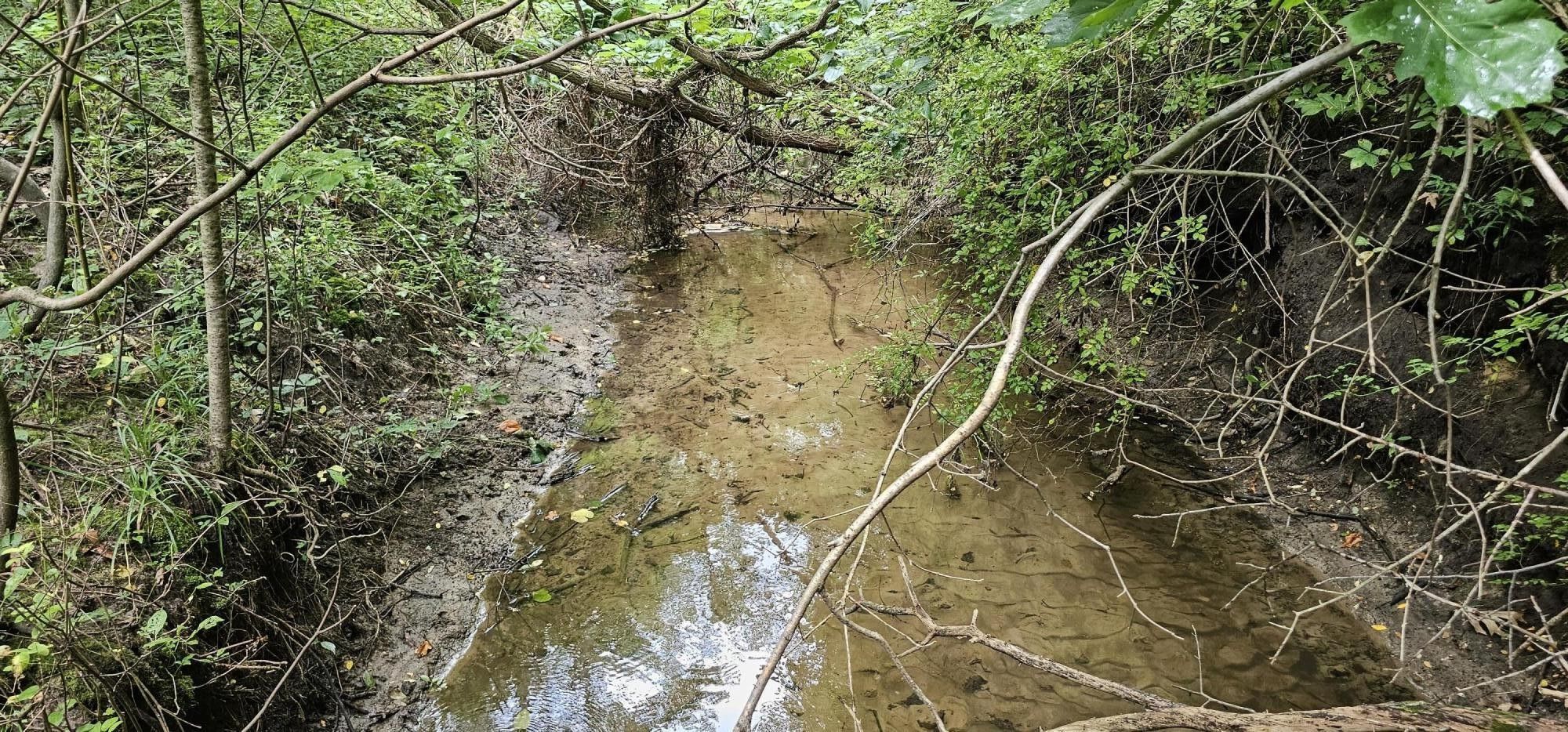 Hopkins, Allegan County, MI Undeveloped Land, Lakefront Property