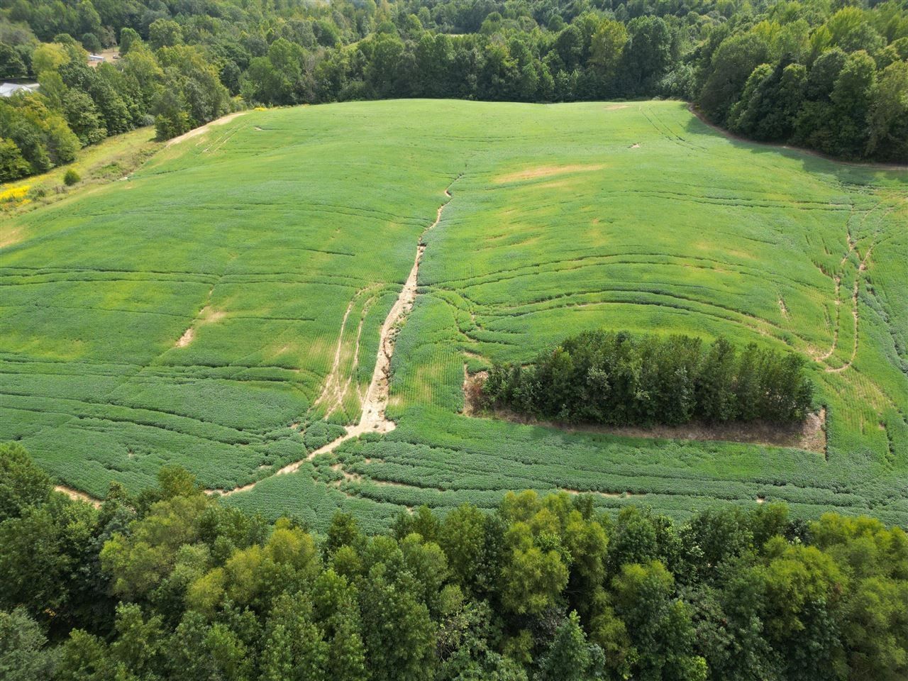 Greenville, Muhlenberg County, KY Undeveloped Land for sale Property ID