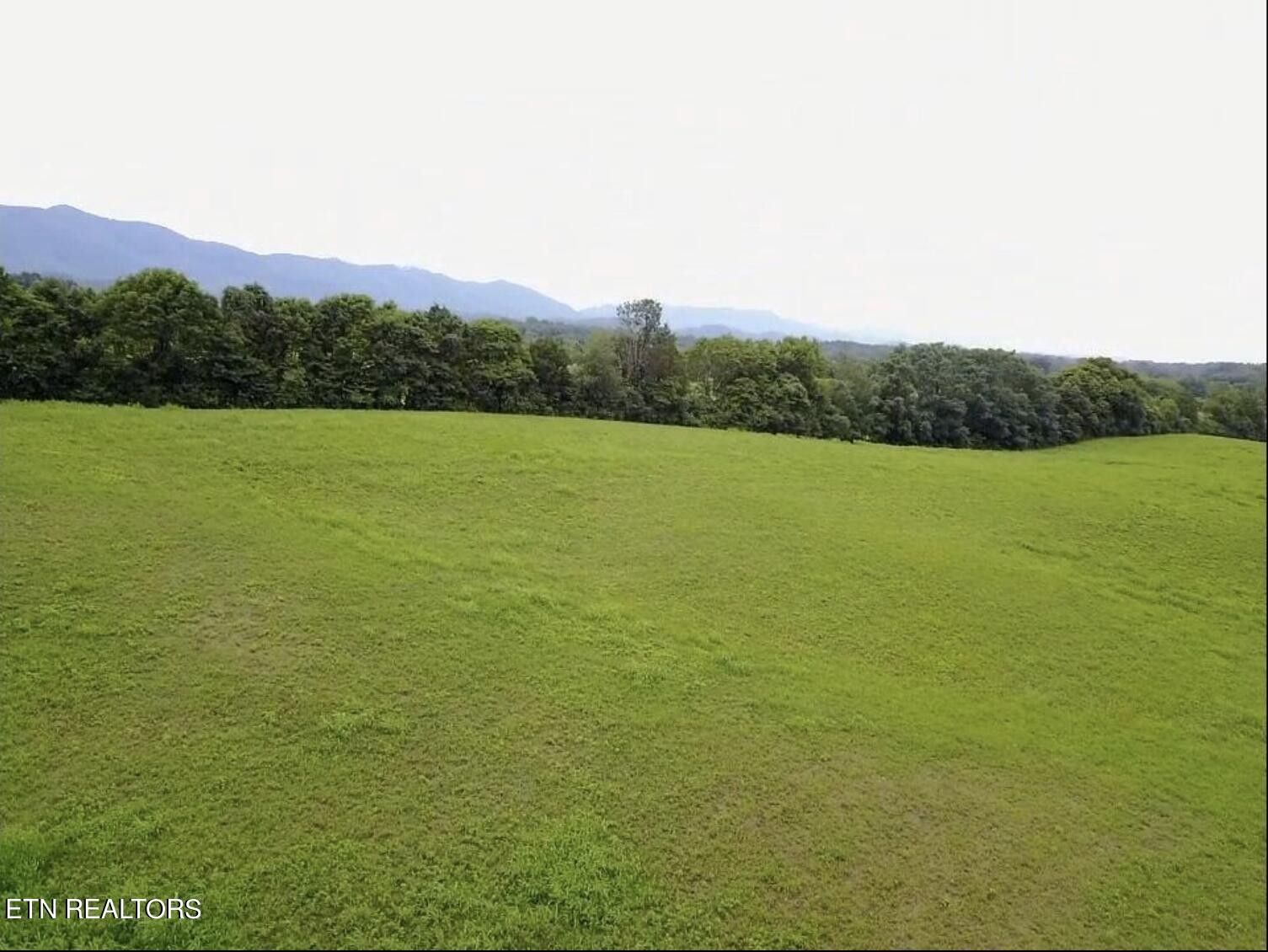 Walland, Blount County, TN Undeveloped Land for sale Property ID