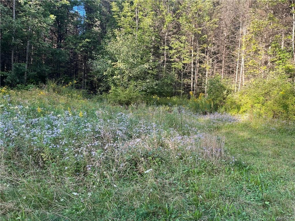 Canaseraga, Allegany County, NY Undeveloped Land for sale Property ID