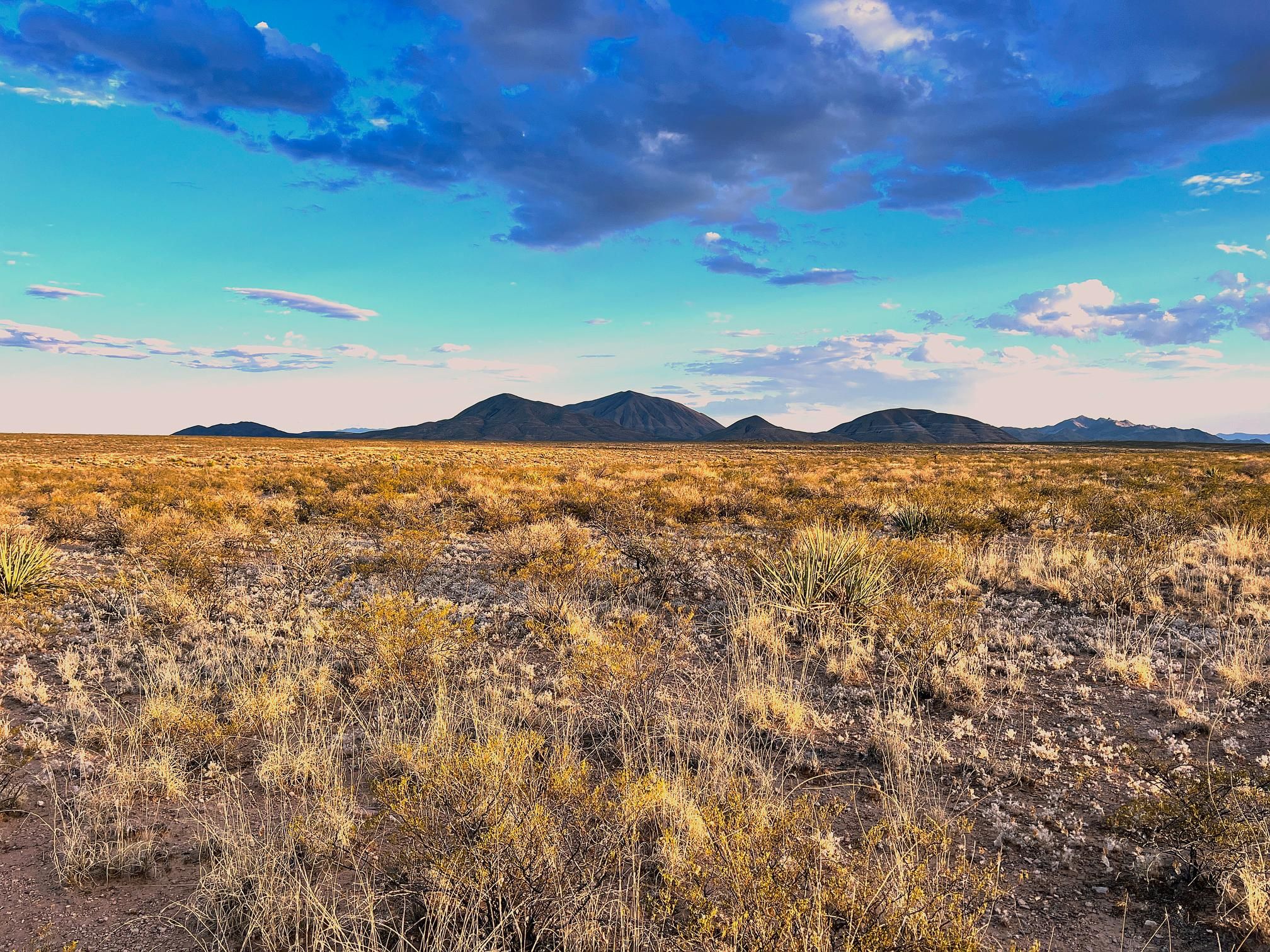 Fort Hancock, Hudspeth County, TX Farms and Ranches, Recreational