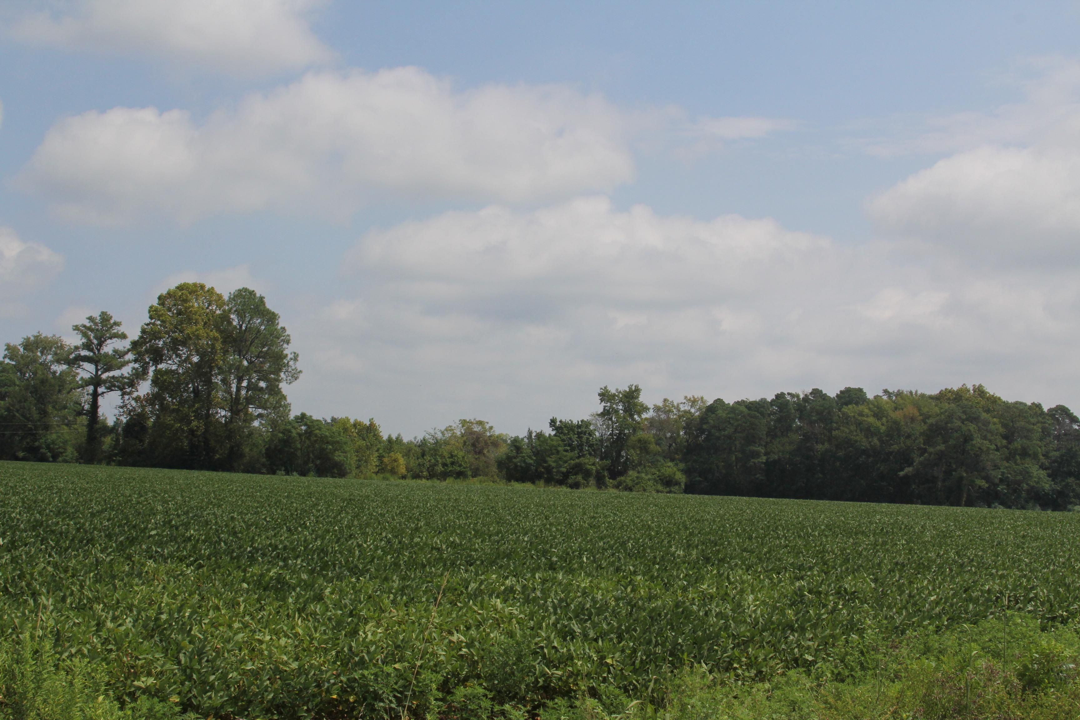 Kinston, Lenoir County, NC Farms and Ranches for sale Property ID