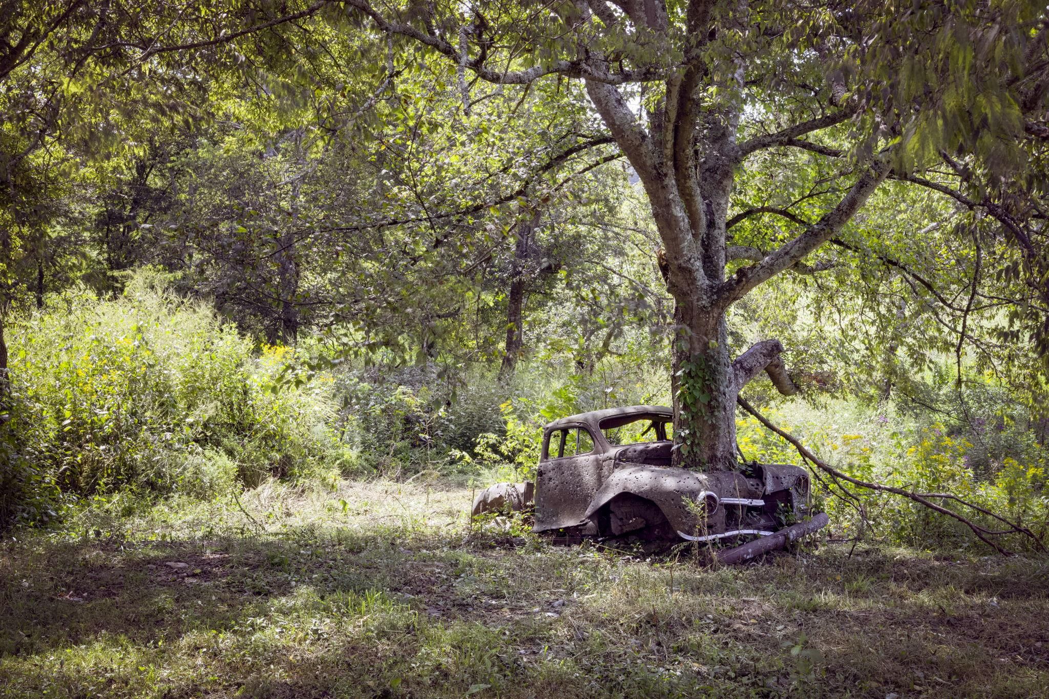 Buffalo Valley, Putnam County, TN Farms and Ranches, Horse Property