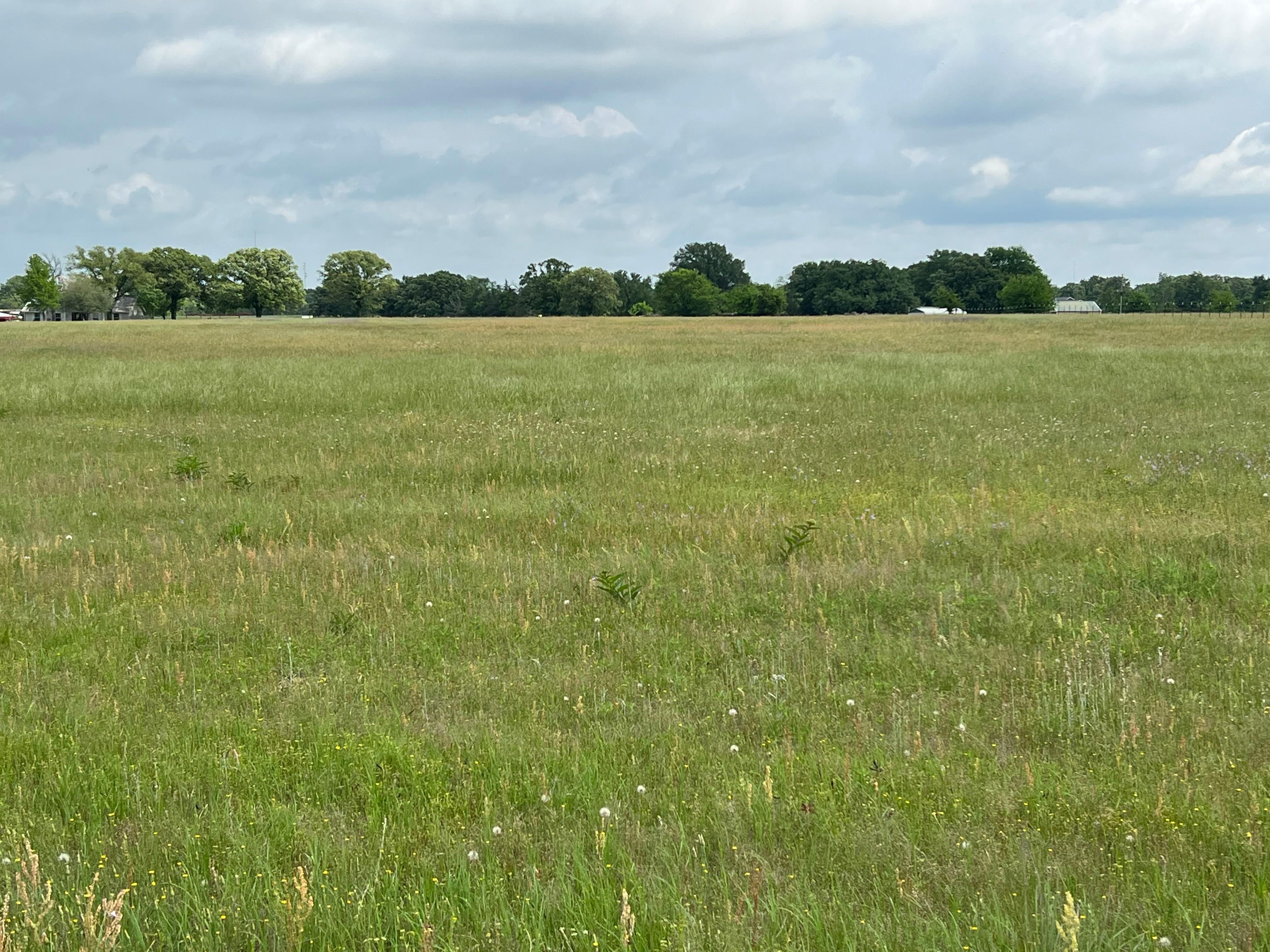 Vz County Road 1905, Fruitvale, TX 75127 MLS 20368892 LandWatch