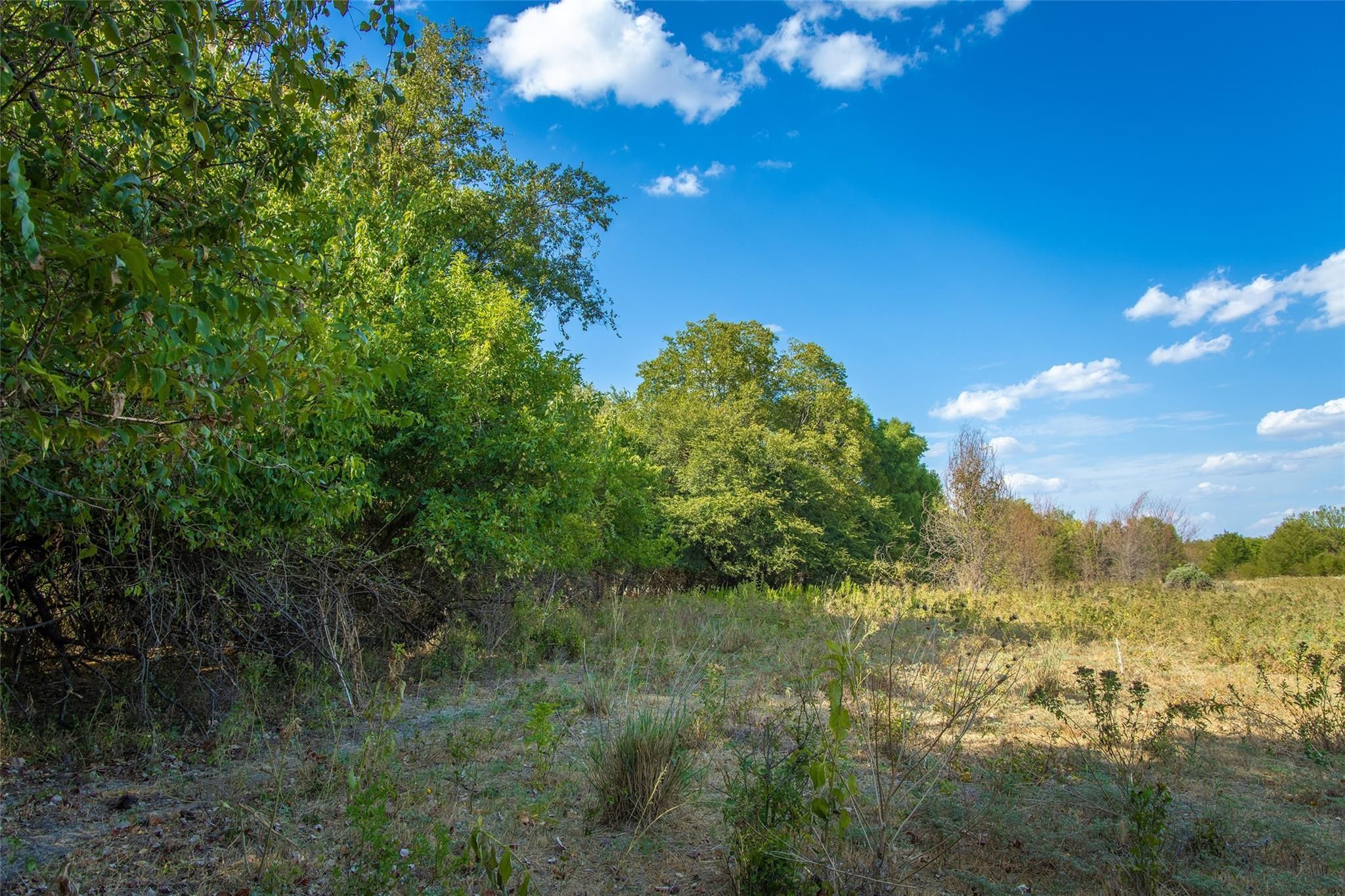 Decatur, Wise County, TX Recreational Property, Undeveloped Land for