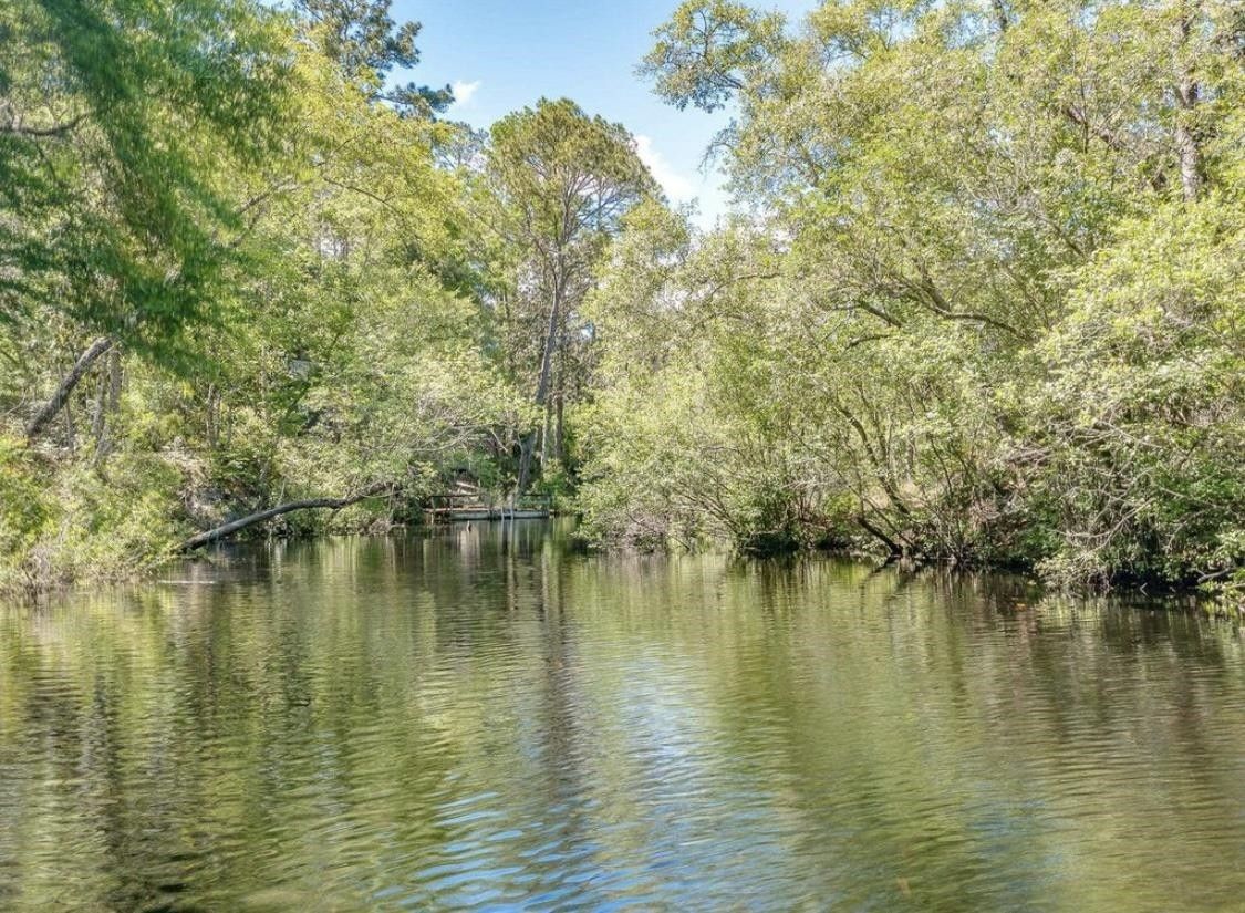 Sopchoppy, Wakulla County, FL Undeveloped Land, Lakefront Property