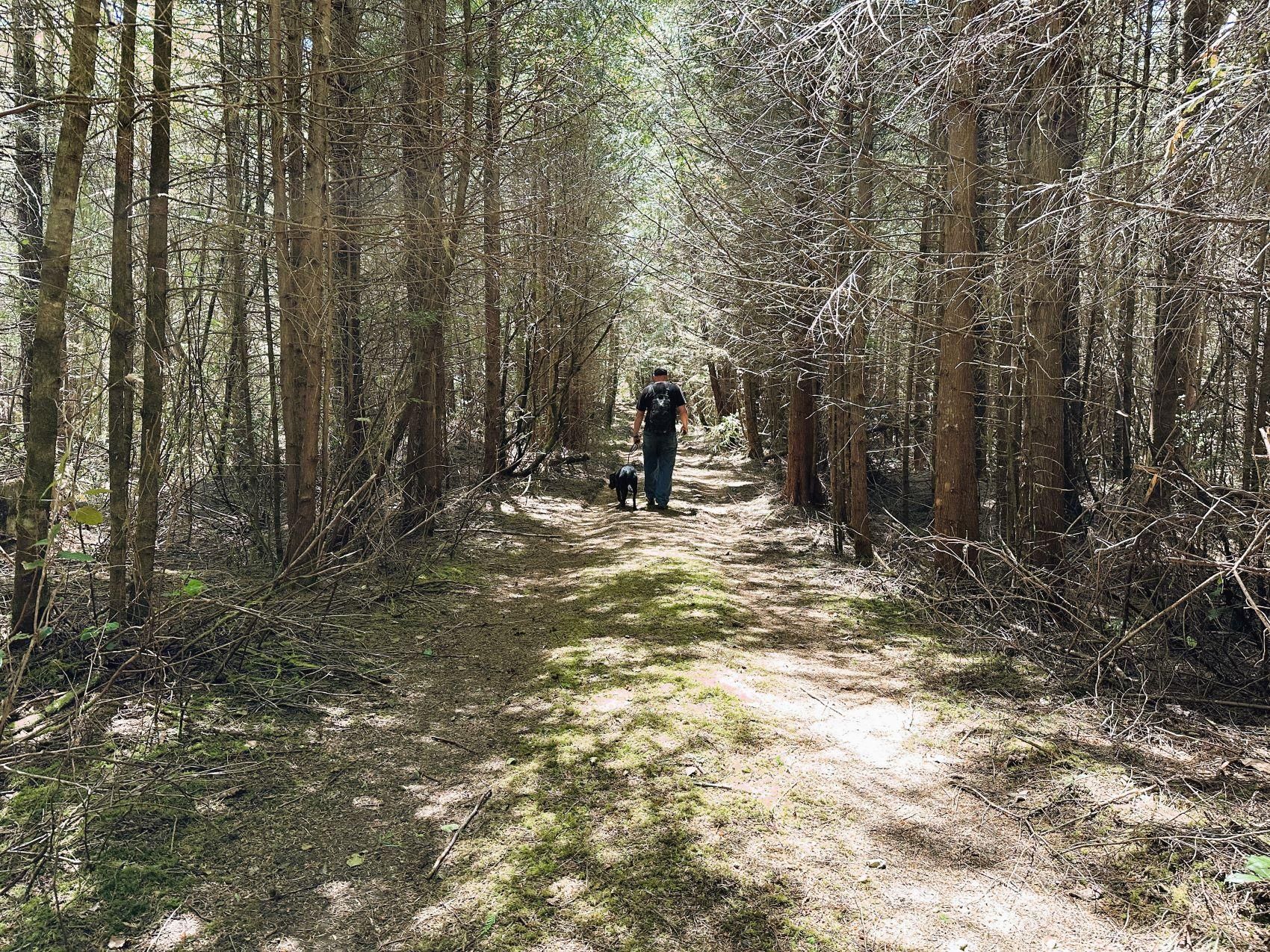 Waldport, Lincoln County, OR Recreational Property, Timberland Property