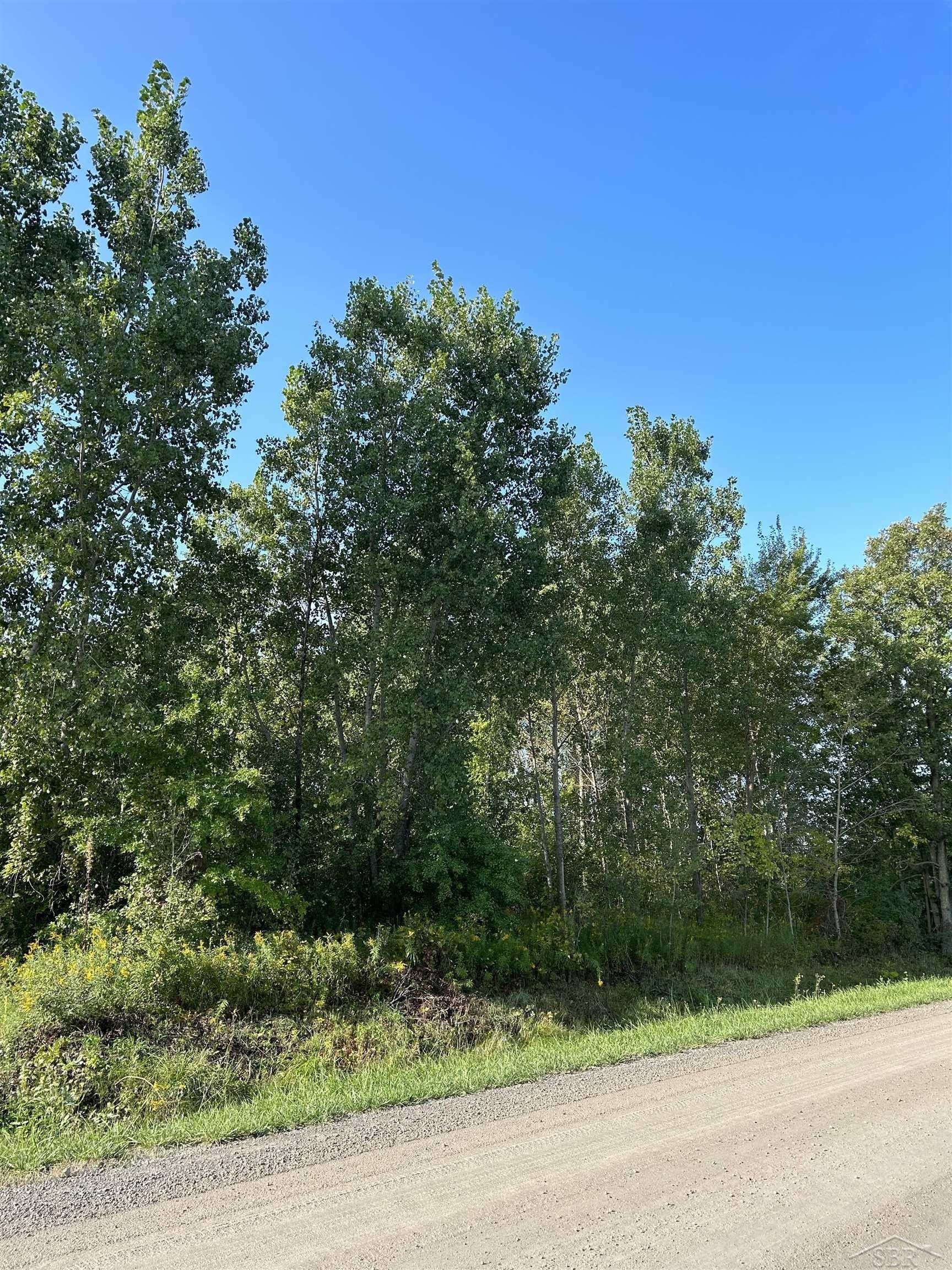 Lake, Montrose, MI 48457 MLS 50121988 LandWatch