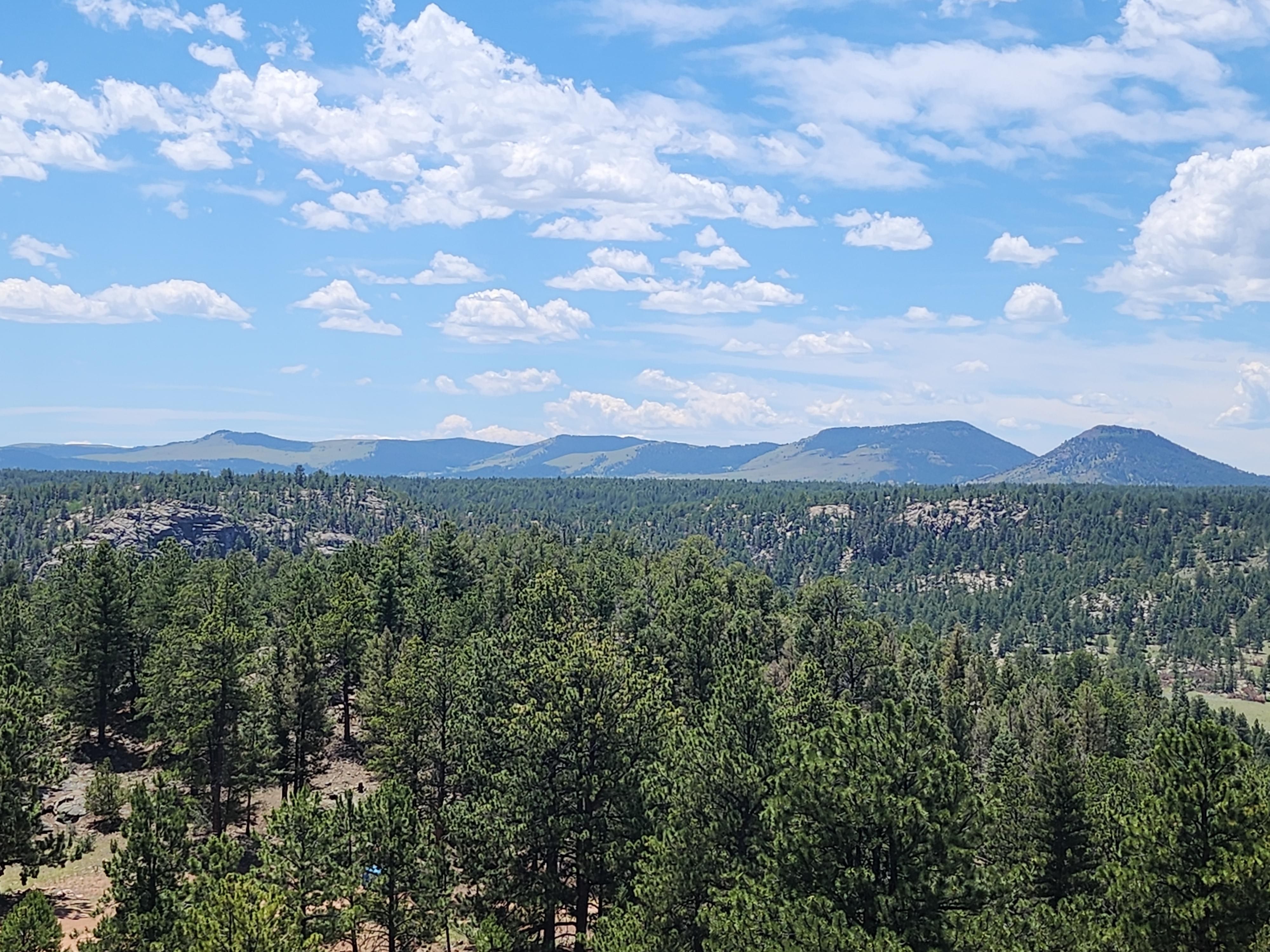 Florissant, Teller County, CO Undeveloped Land, Homesites for auction