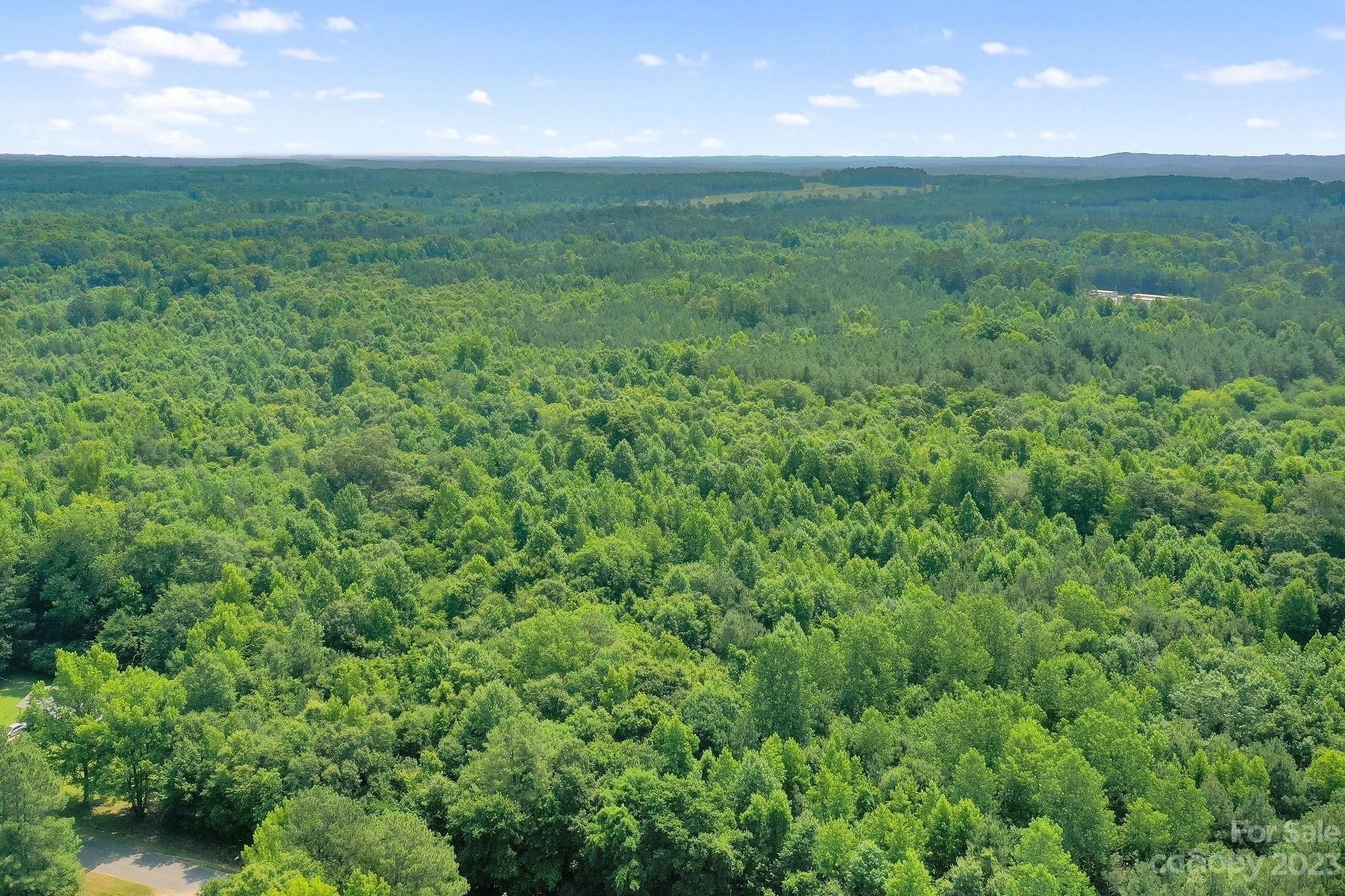 Polkton, Anson County, NC Undeveloped Land for sale Property ID