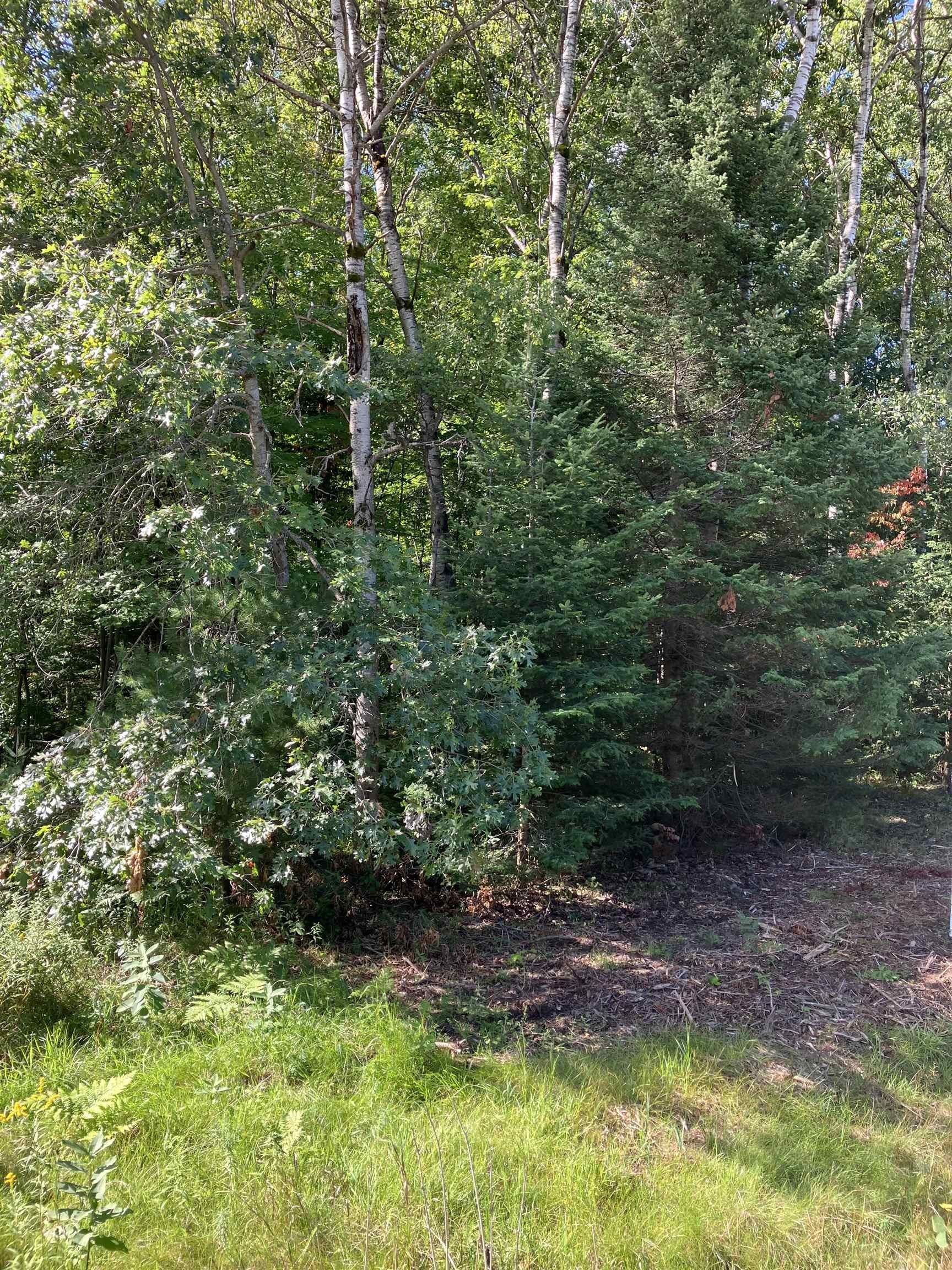 Lake, Clare County, MI Undeveloped Land, Homesites for sale Property ID
