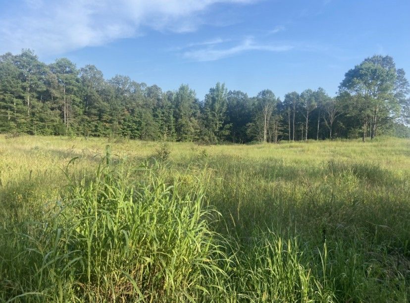 Michie, McNairy County, TN Undeveloped Land for sale Property ID