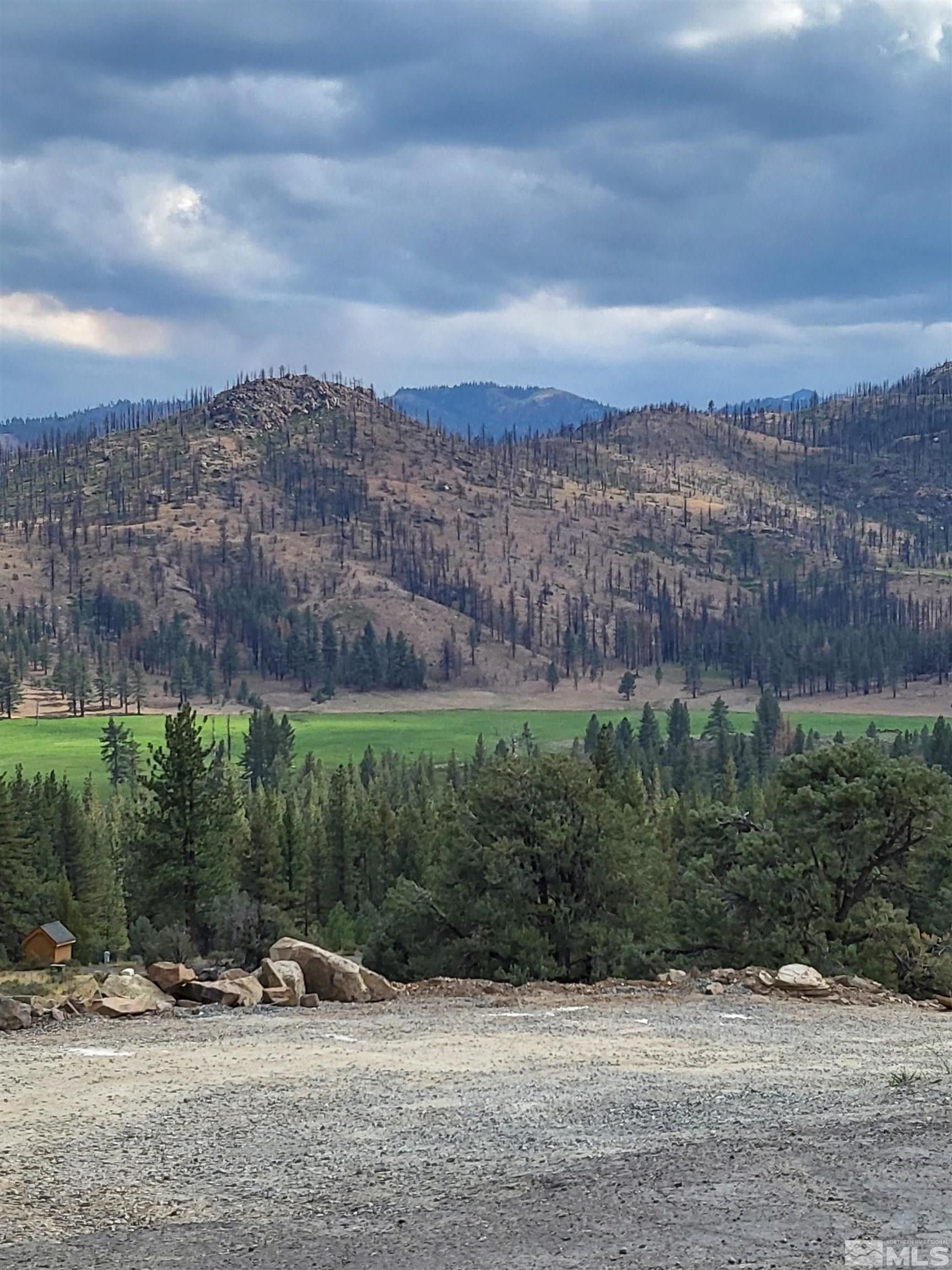 Markleeville, Alpine County, CA Undeveloped Land, Homesites for sale