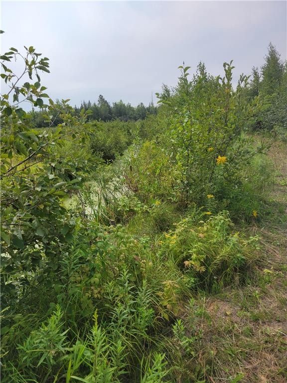 McGrath, Aitkin County, MN Undeveloped Land for sale Property ID