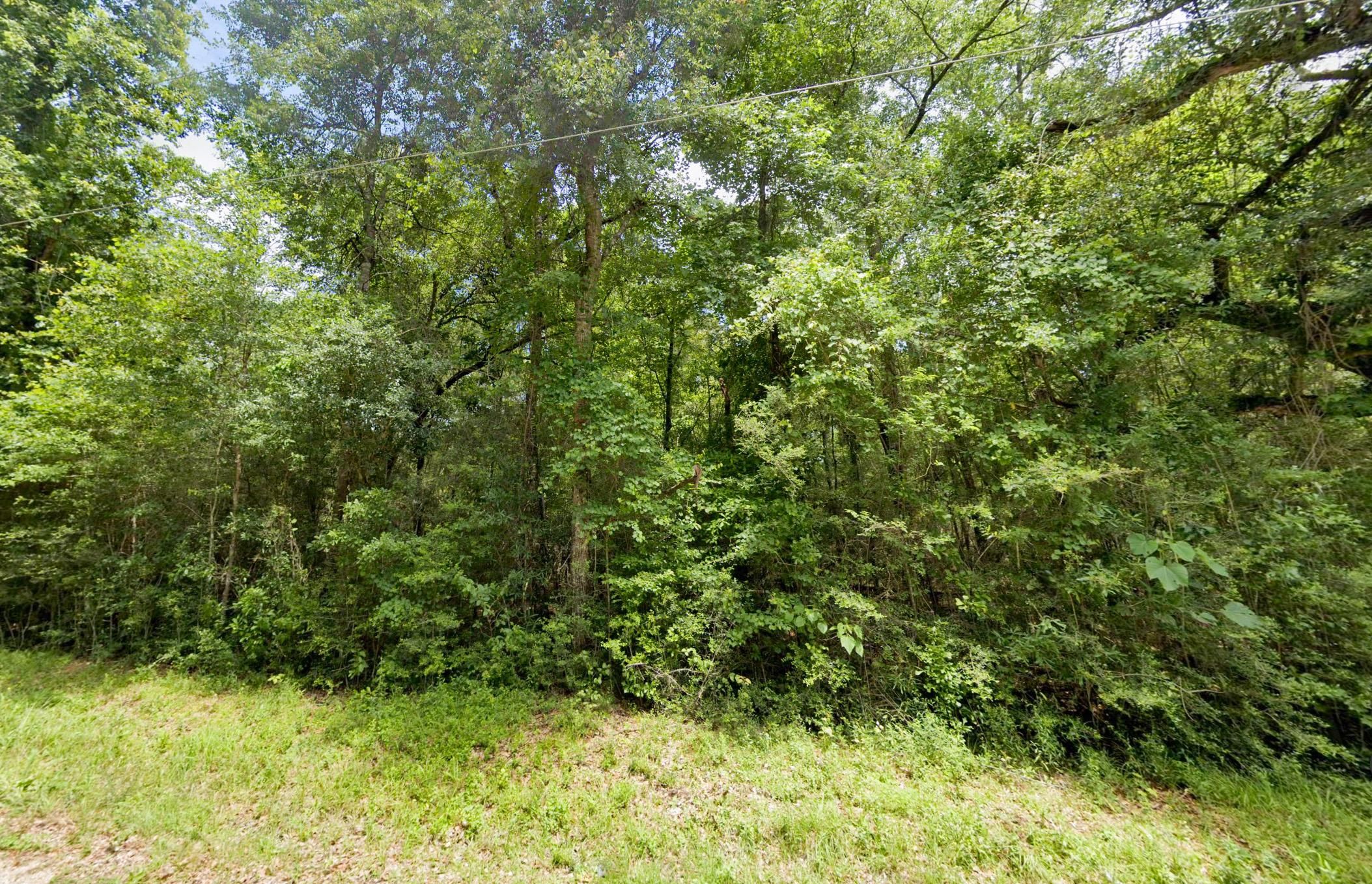 Angie, Washington Parish, LA Undeveloped Land, Commercial Property