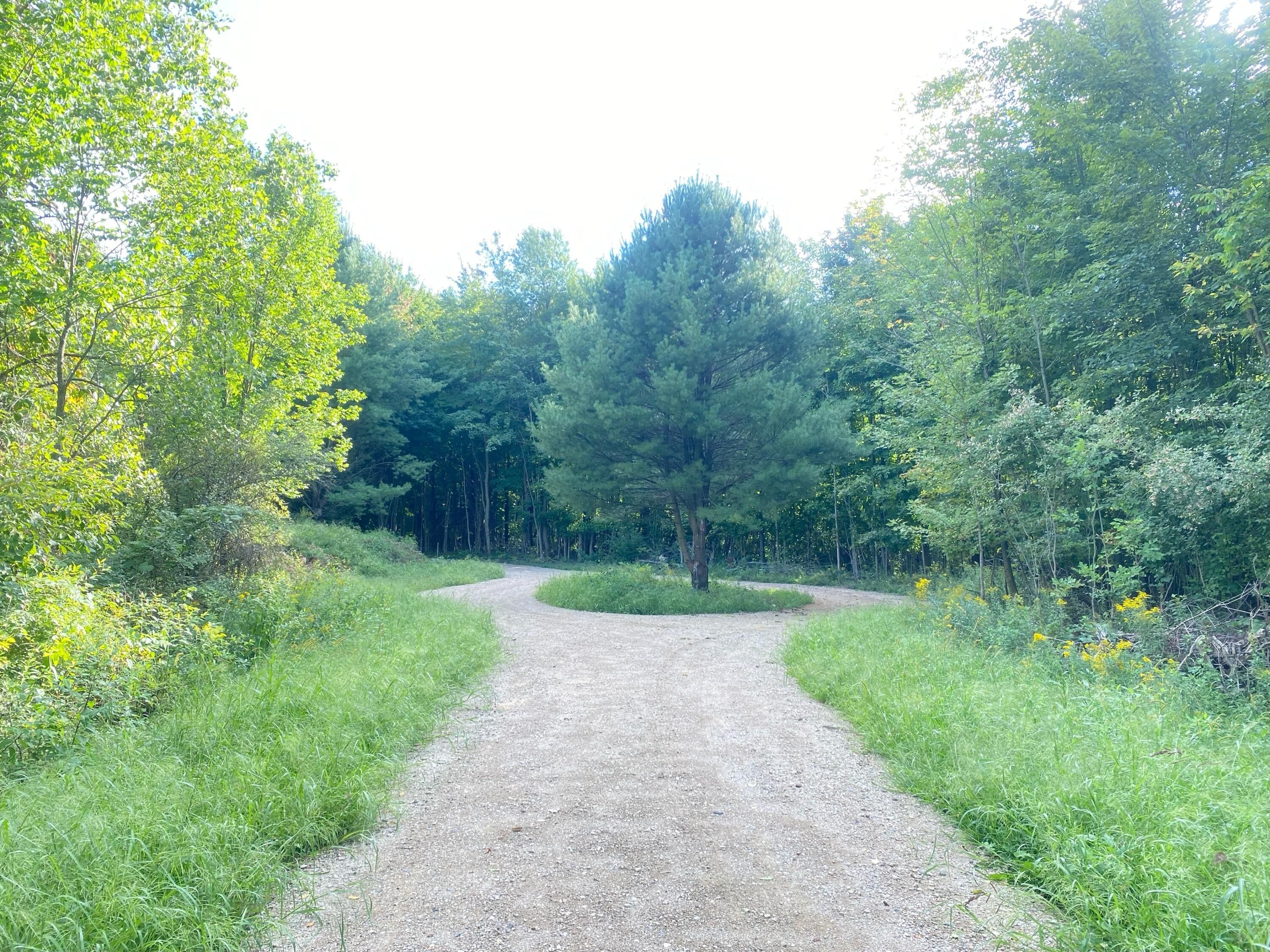 Allegan, Allegan County, MI Undeveloped Land for sale Property ID