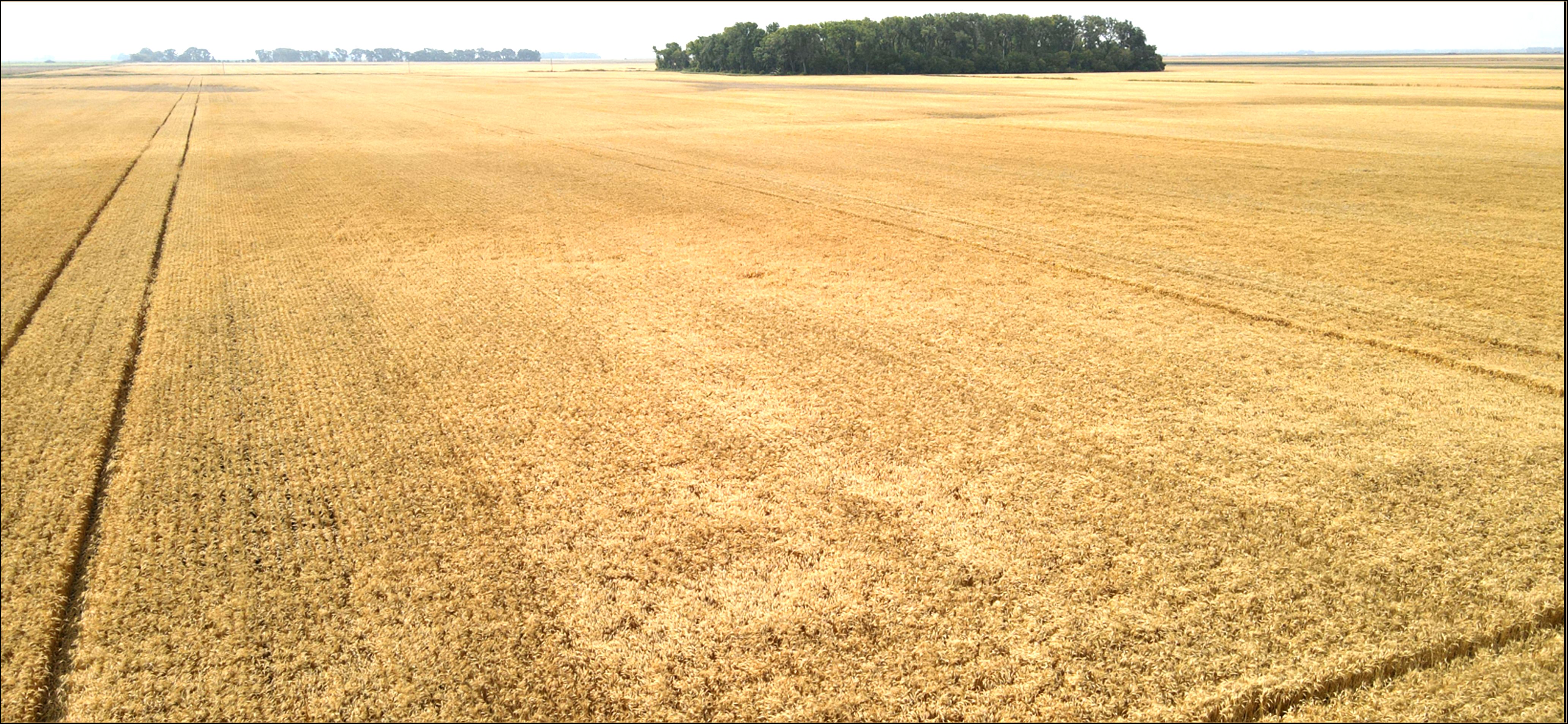 Hamilton, Pembina County, ND Farms and Ranches for sale Property ID