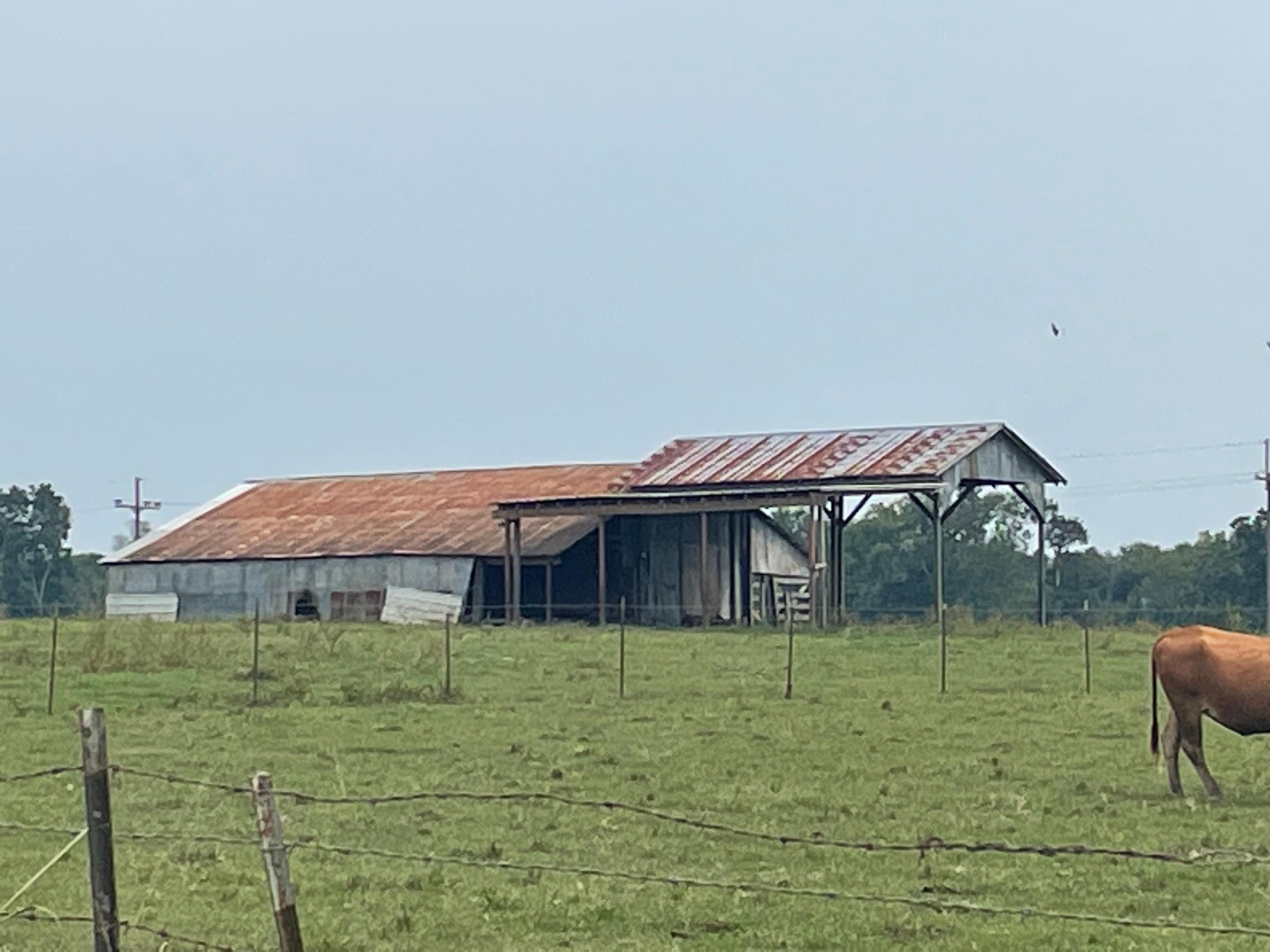 351 Little California Road, Marksville, LA 71351 MLS 40+ Acre