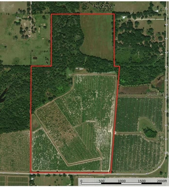 Arcadia, DeSoto County, FL Farms and Ranches, Undeveloped Land for sale