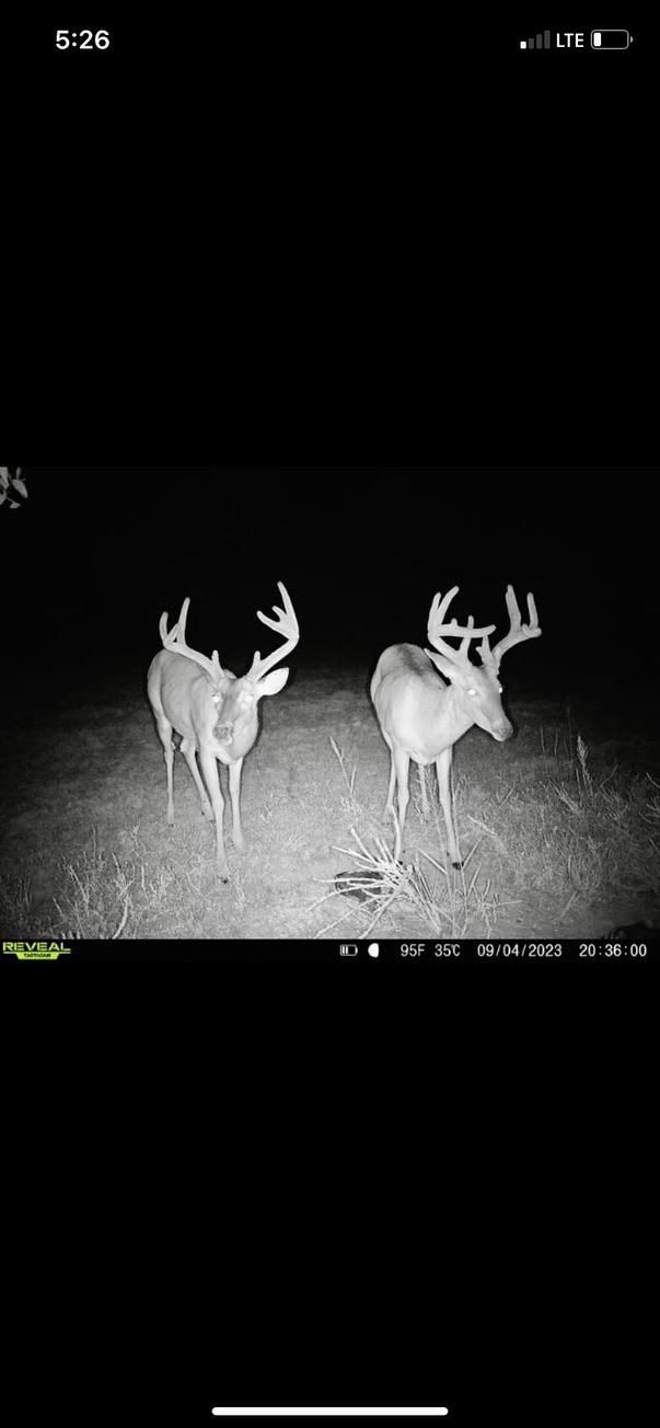 Saulsbury, Hardeman County, TN Farms and Ranches, Recreational Property