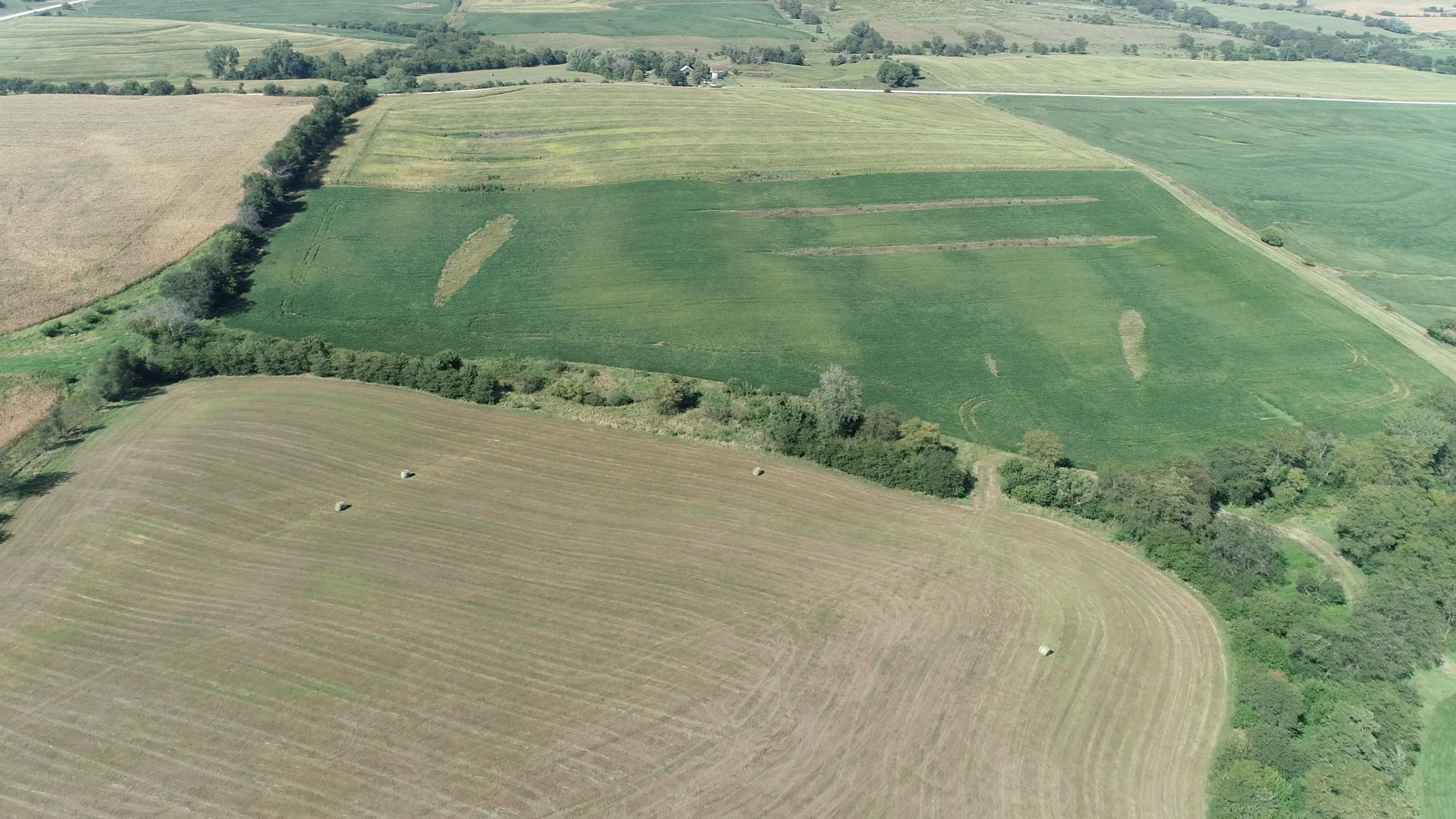 238.68 acres in Villisca, IA, 50841 MLS Hefflefinger Farm LandWatch