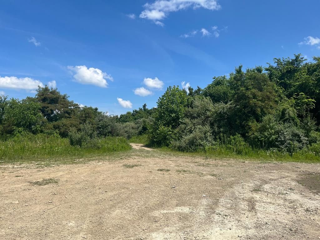 Robinson Creek, Pike County, KY Undeveloped Land for sale Property ID