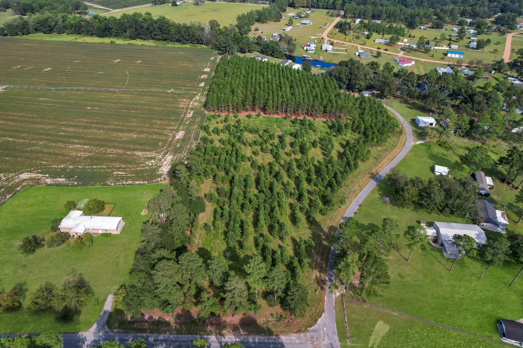 Baxley, Appling County, GA Farms and Ranches, Undeveloped Land