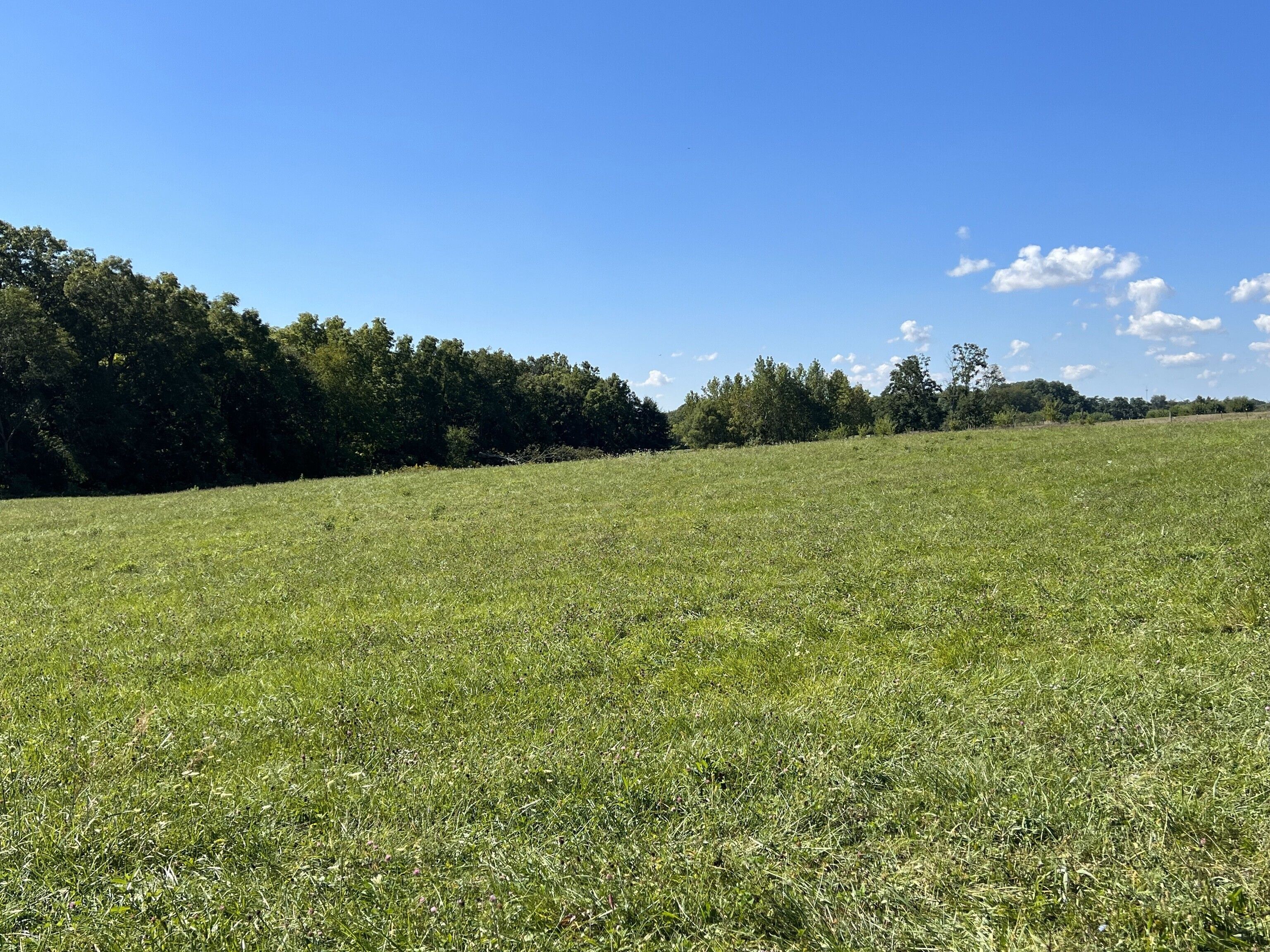 Williamsport Land For Sale