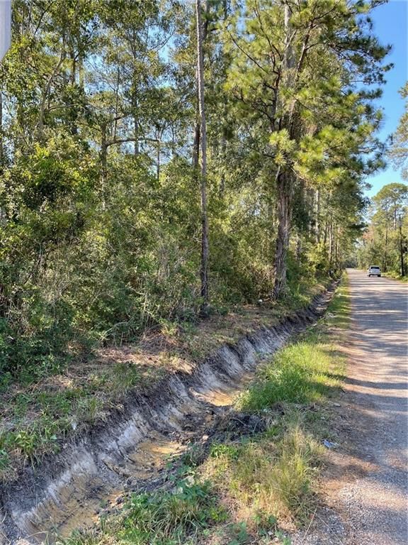 Saint Tammany Parish, LA Undeveloped Land for sale Property ID