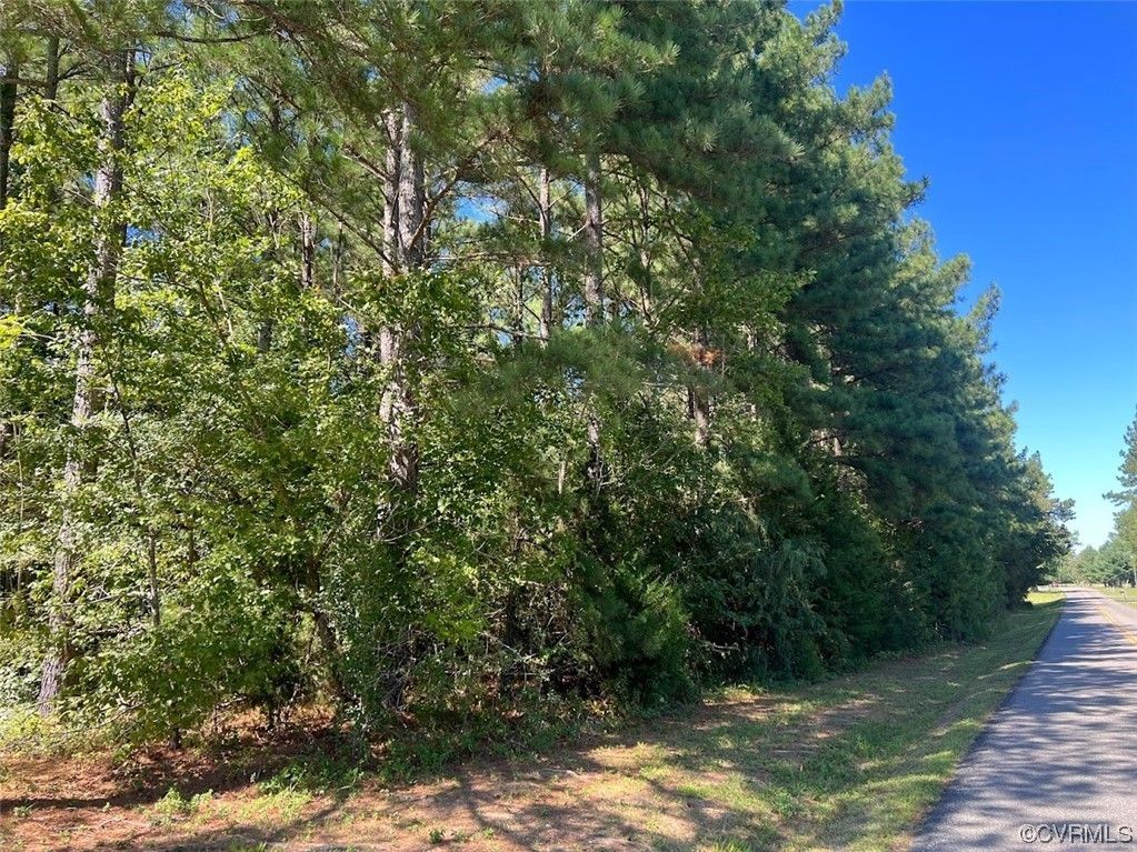 Jetersville, Amelia County, VA Undeveloped Land for sale Property ID