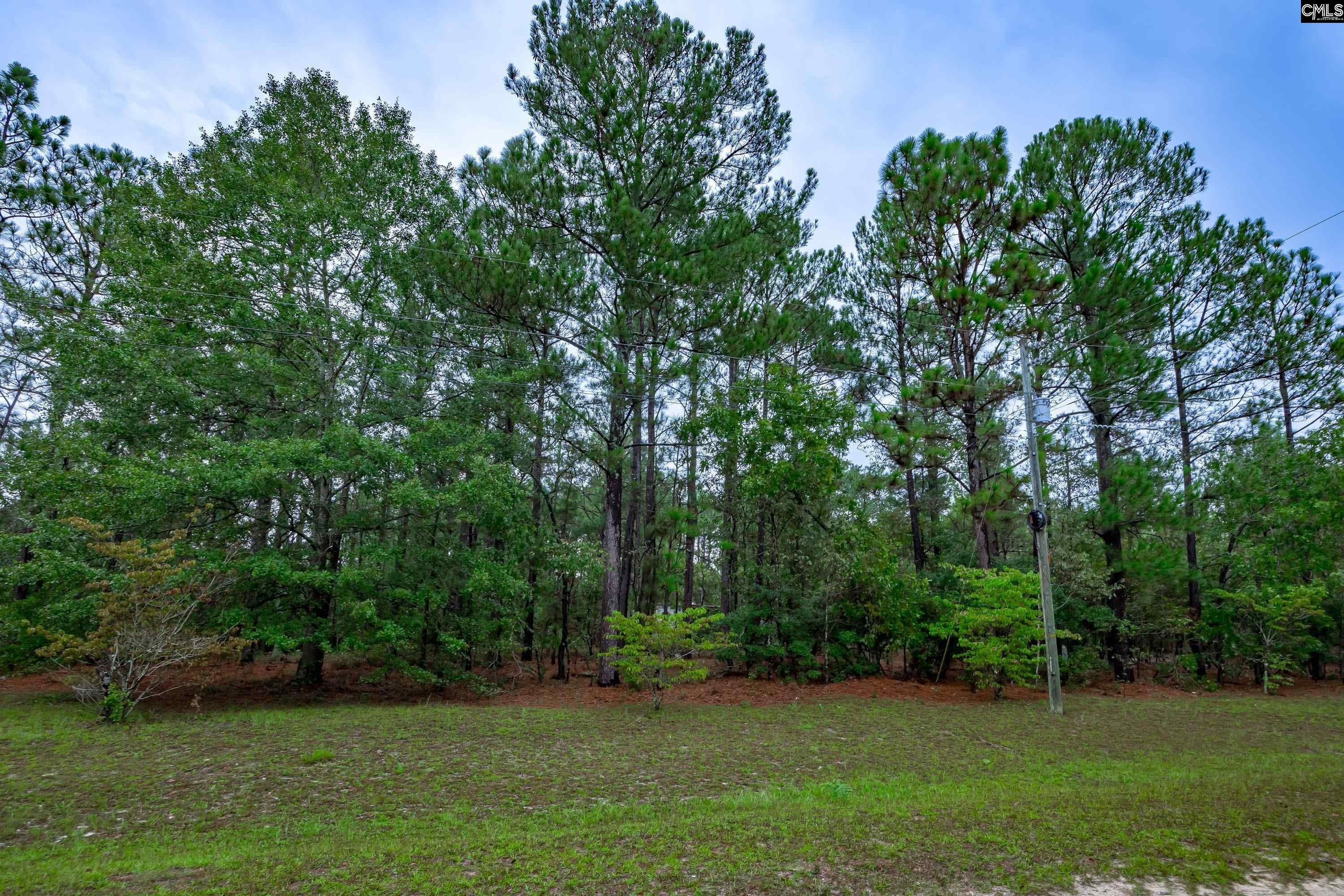Gilbert, Lexington County, SC Undeveloped Land for sale Property ID