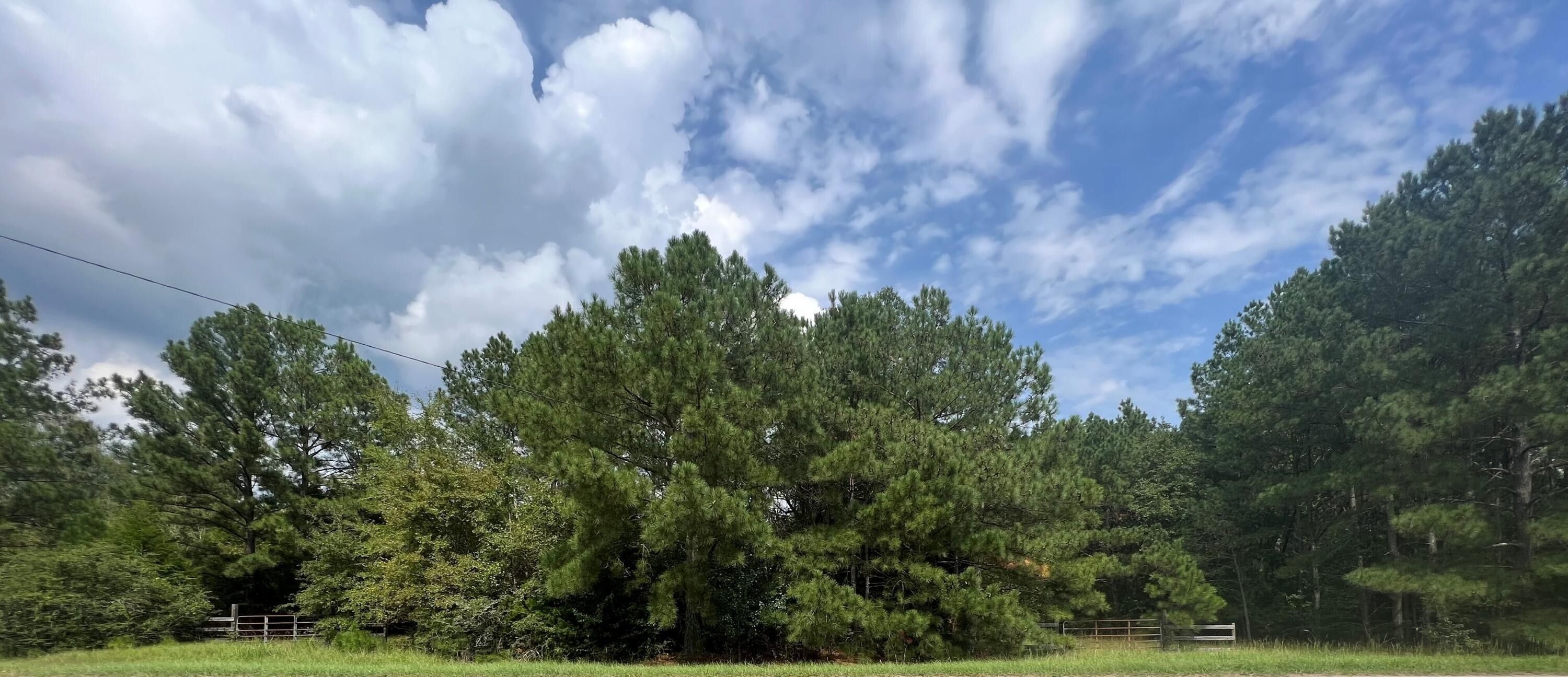 Lincolnton, Lincoln County, GA Undeveloped Land, Homesites for sale