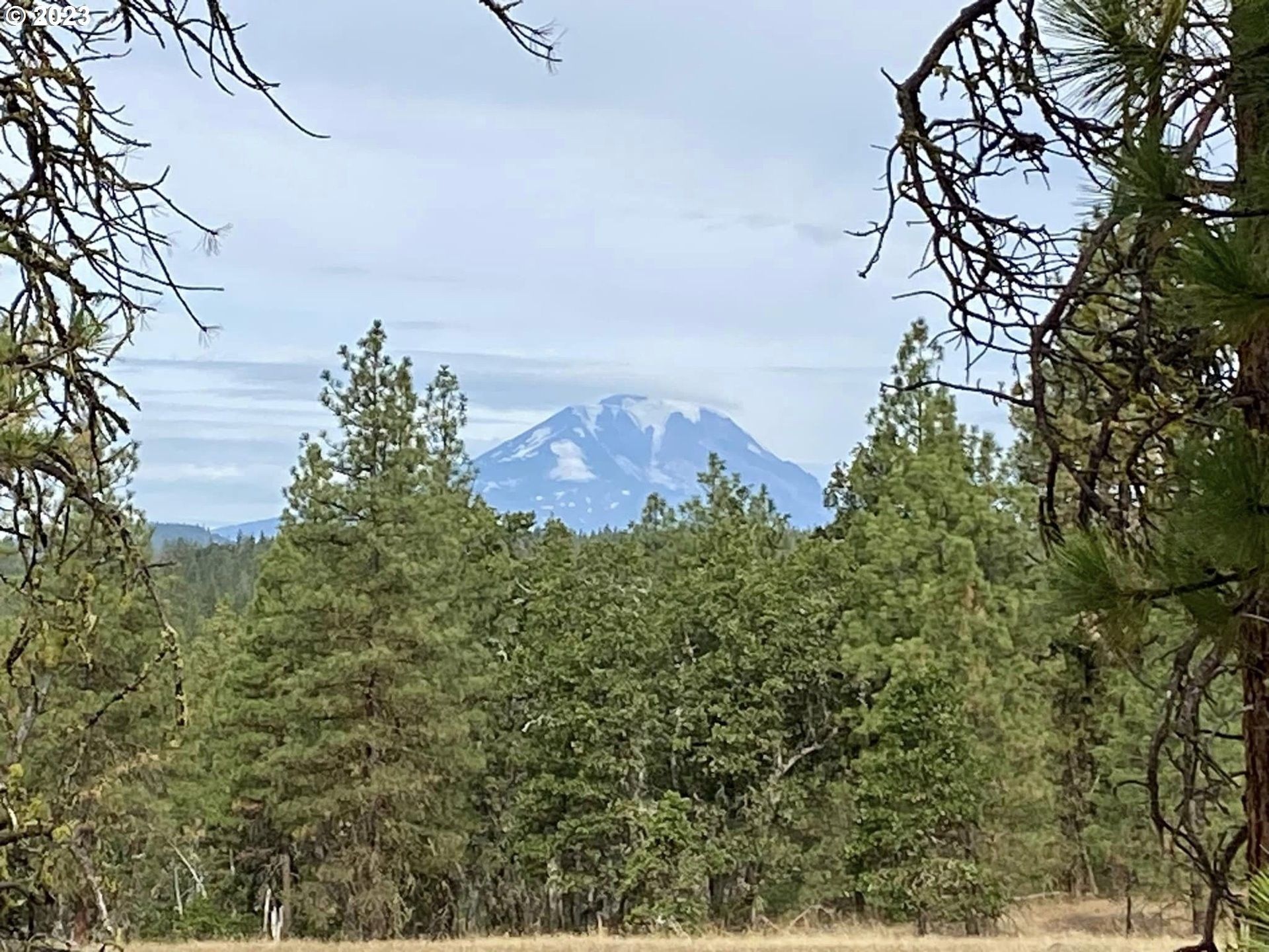 Goldendale, Klickitat County, WA Undeveloped Land for sale Property ID