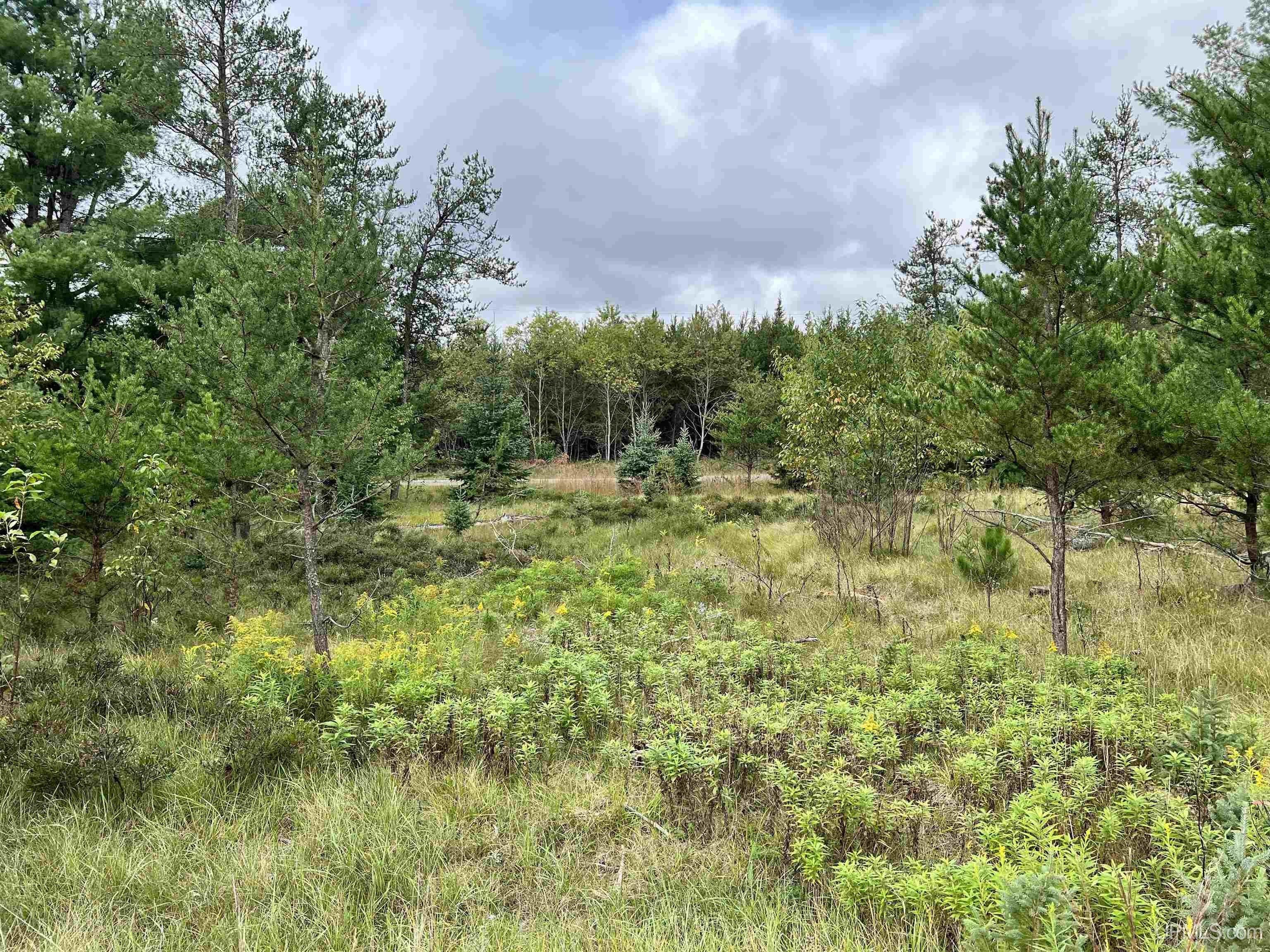 Beecher, County, WI Undeveloped Land for sale Property ID