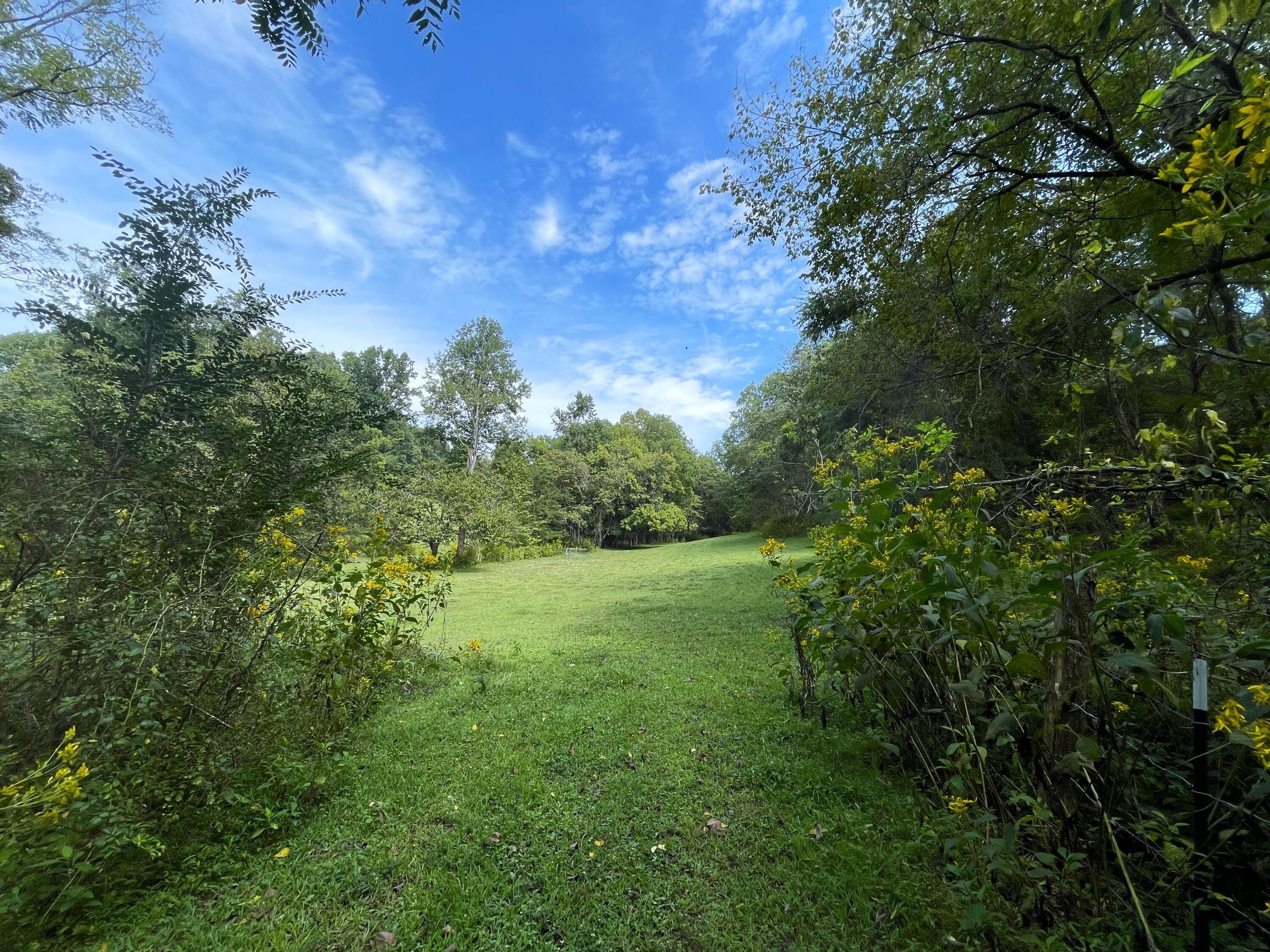 Parrottsville, Cocke County, TN Farms and Ranches for sale Property ID