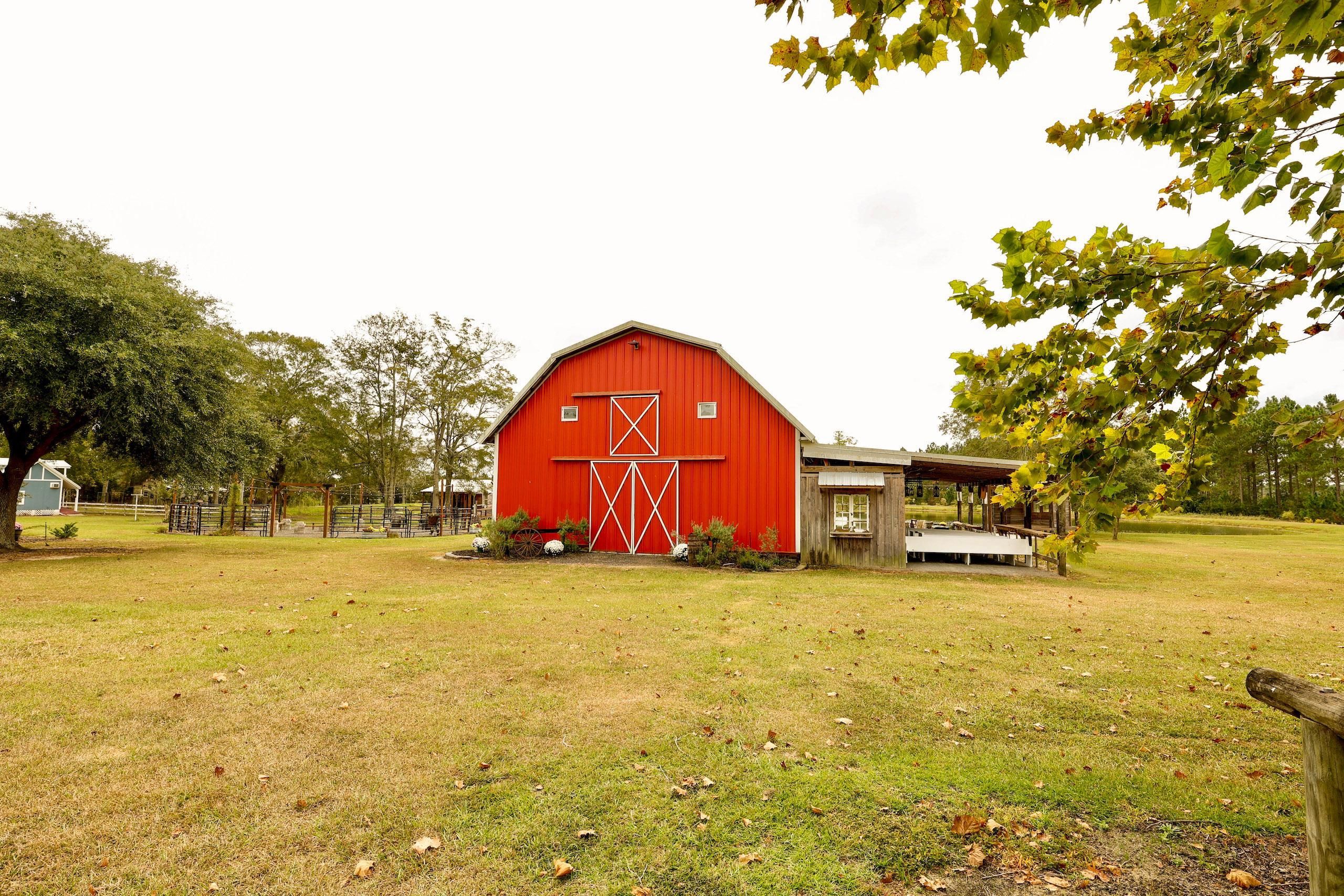 Barney, Brooks County, GA Recreational Property, Timberland Property