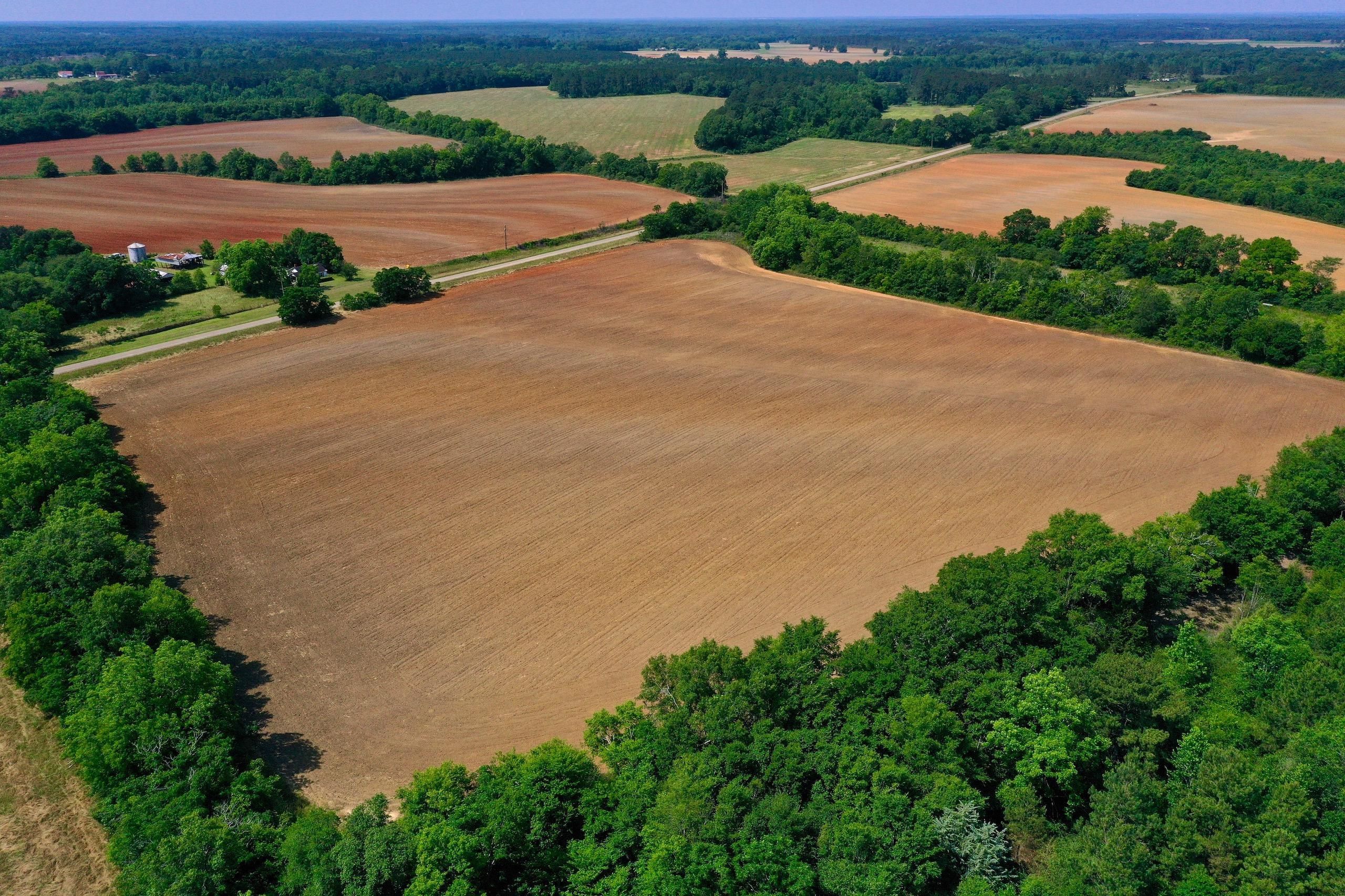 Chancey Mill Rd, LotWP001, Blakely, GA 39823 LandWatch