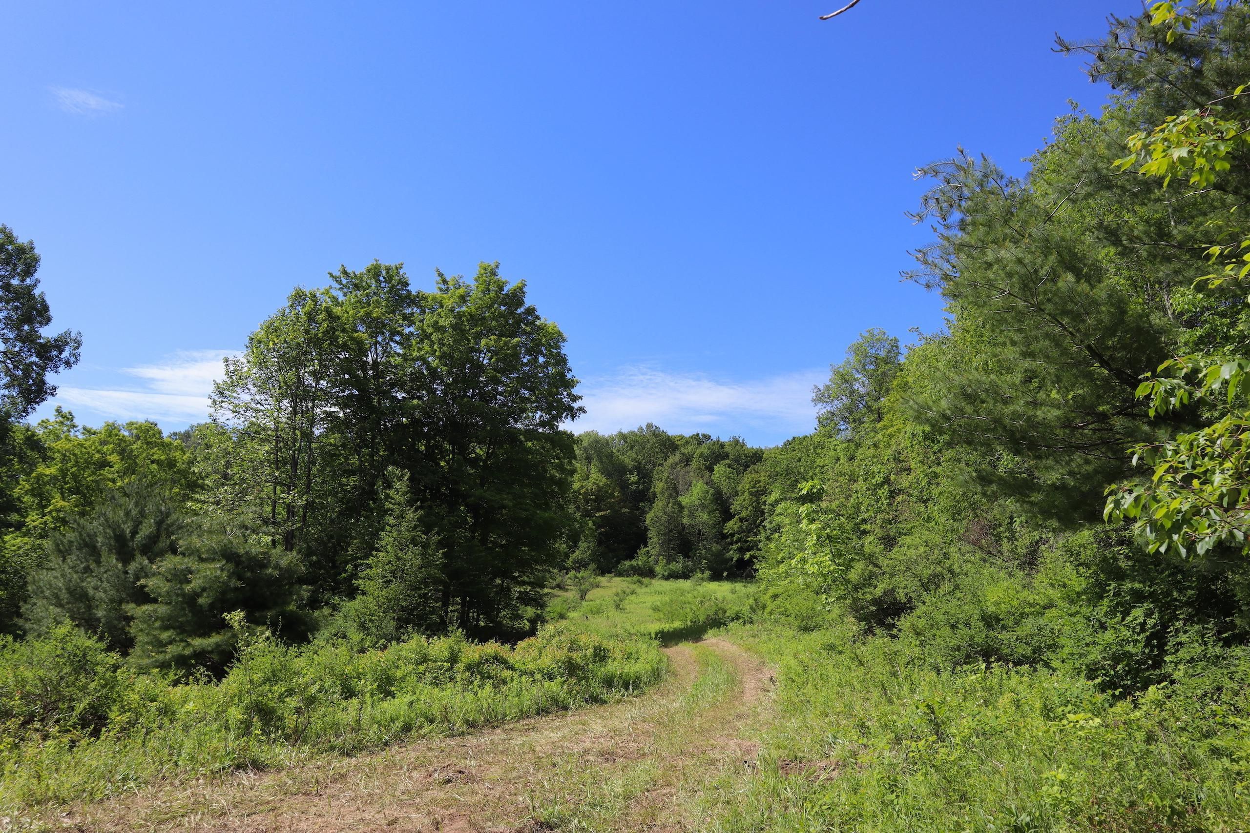 Crosier Road, LotWP001, Hebron, NY 12865 MLS 11203358 LandWatch