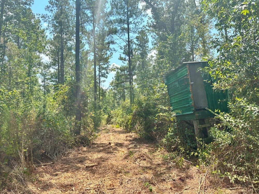 Soso, Jones County, MS Recreational Property, Hunting Property for sale