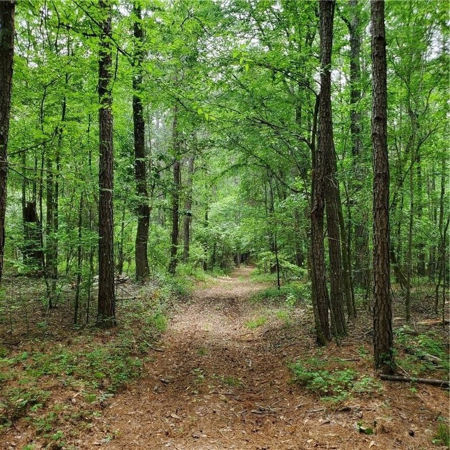 Loganville, Rockdale County, GA Undeveloped Land, Lakefront Property, Waterfront Property for