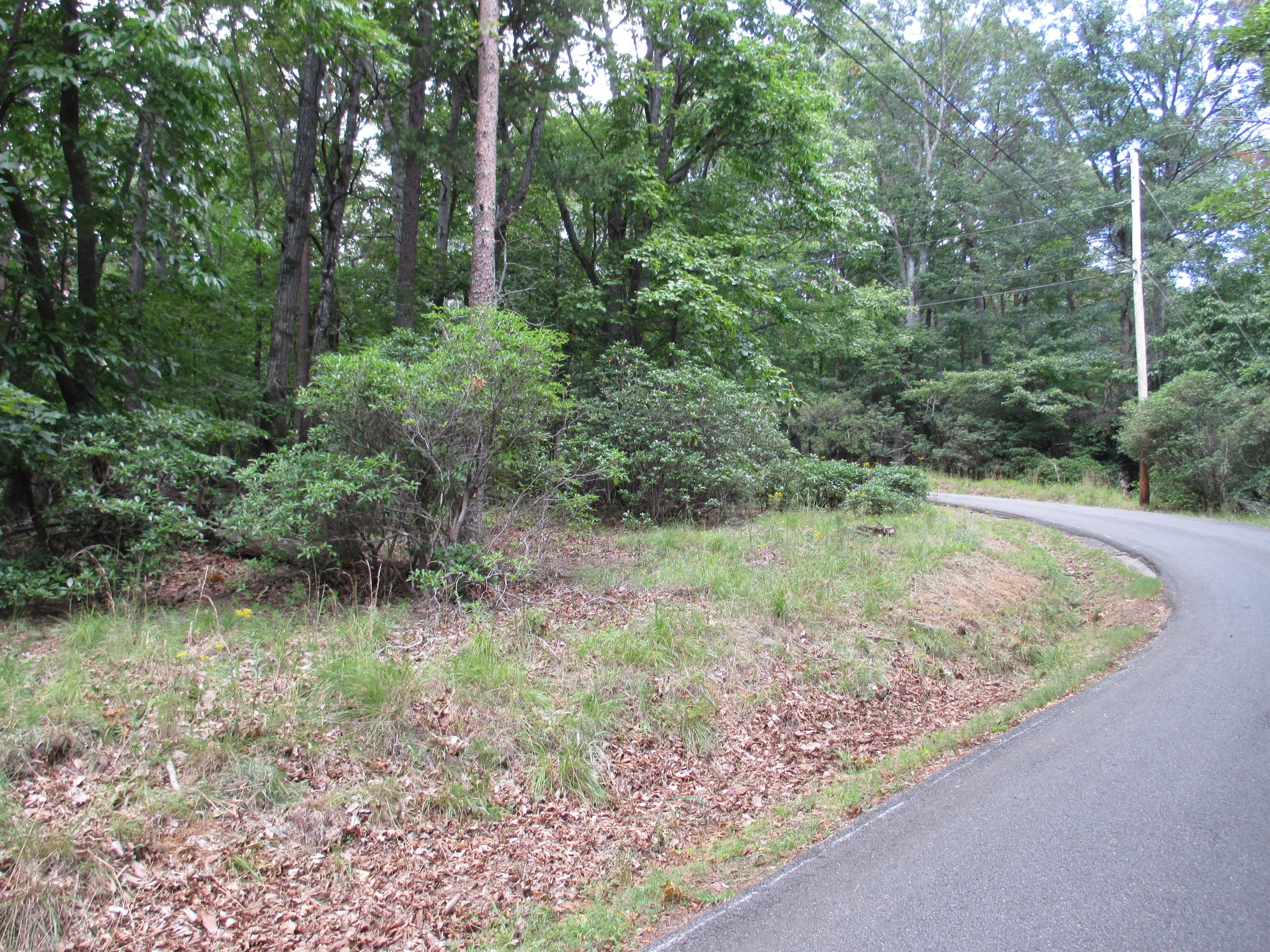 Jasper, Pickens County, GA Undeveloped Land, Homesites for sale
