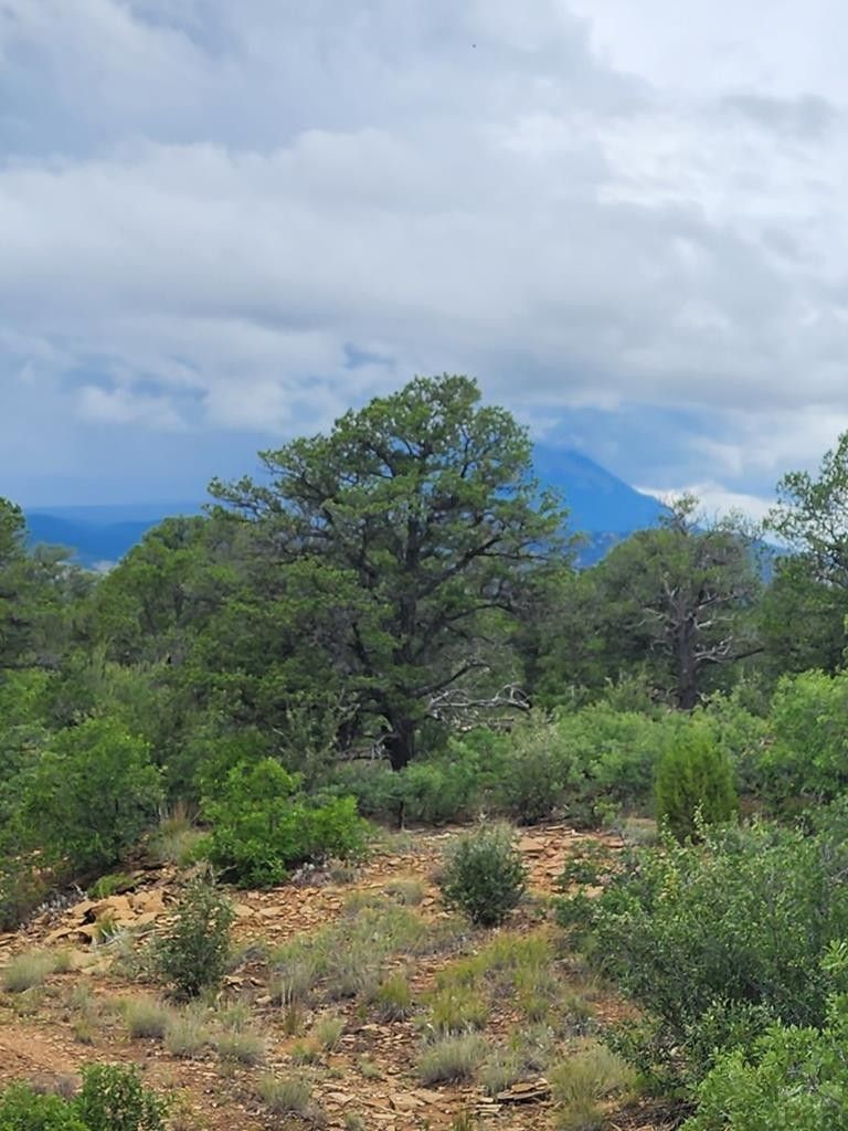 Aguilar, Las Animas County, CO for sale Property ID 417694275 LandWatch