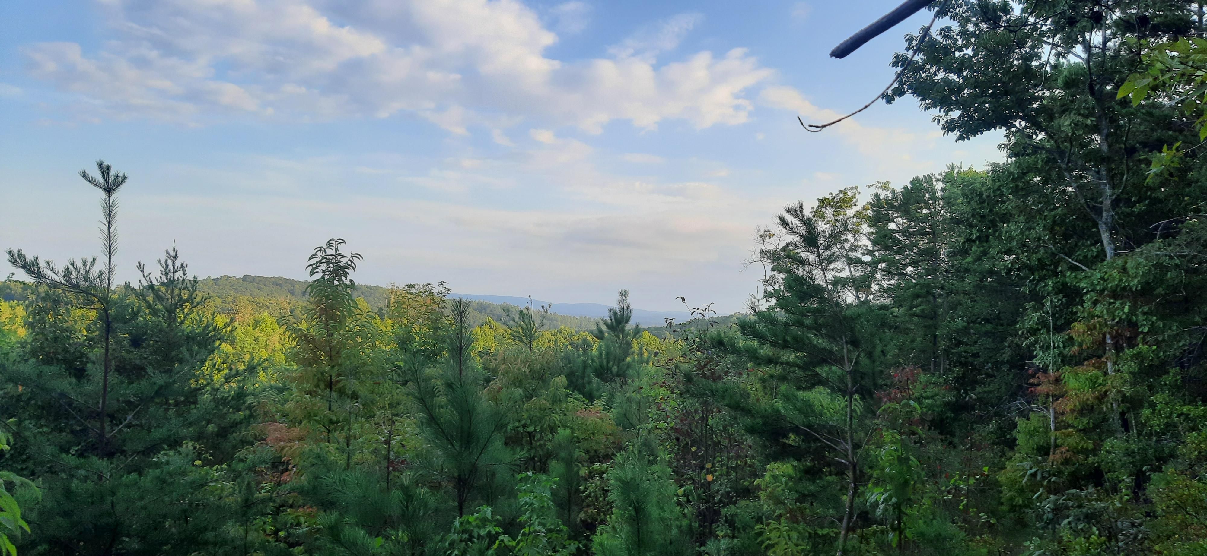 Ellijay, Gilmer County, GA Recreational Property, Undeveloped Land, Hunting Property, Riverfront