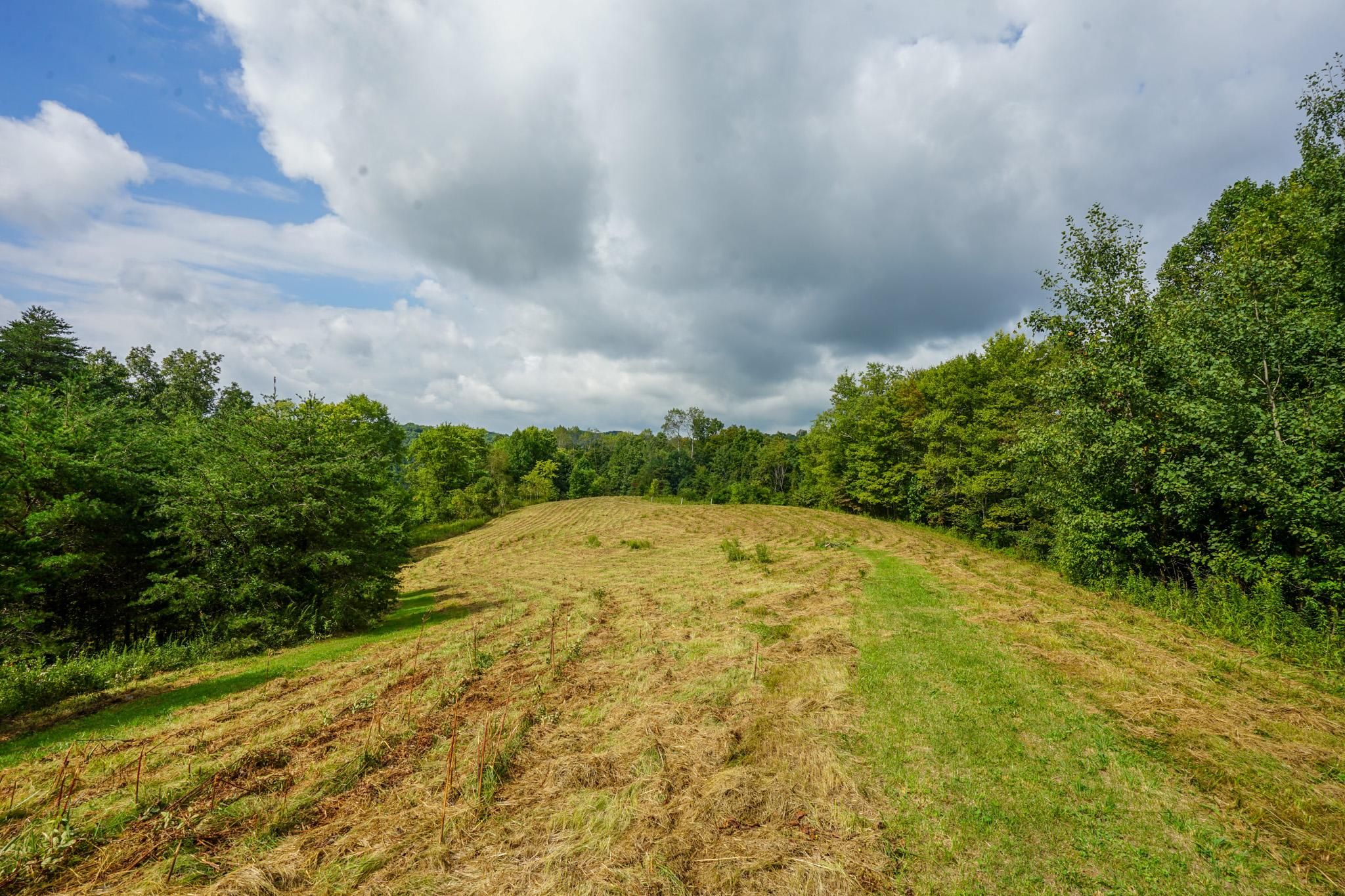 Reed Rd, Marietta, OH 45750 LandWatch